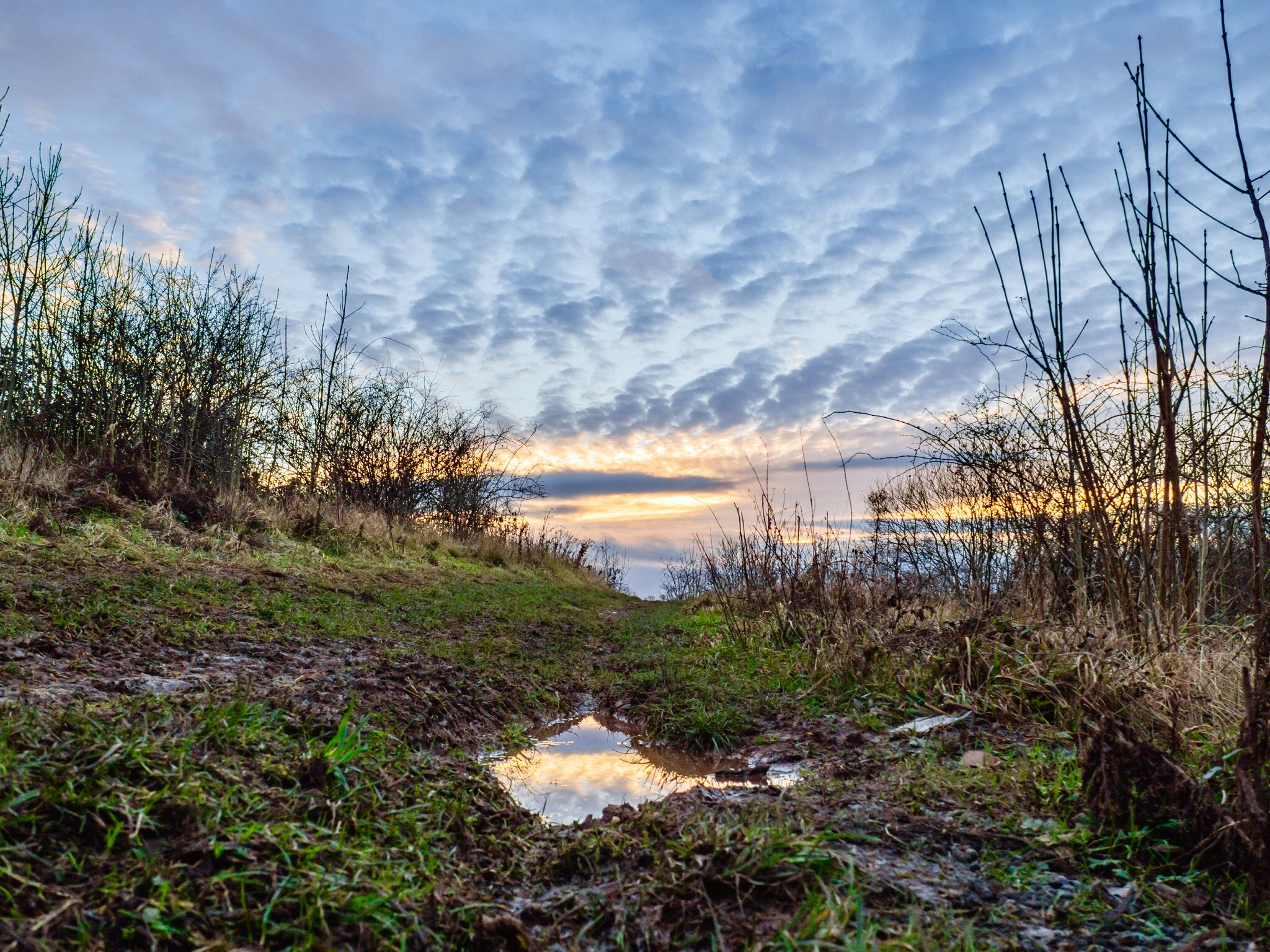 Olympus M.Zuiko Digital 14-42mm F3.5-5.6 II R sample photo. Light in a muddy puddle photography