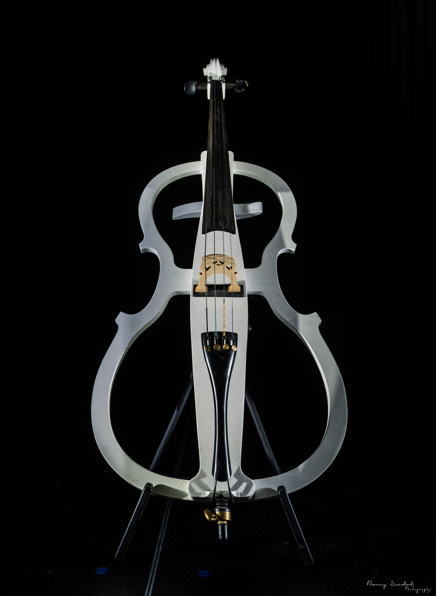 Sigma 24-70mm F2.8 EX DG Macro sample photo. The cello photography
