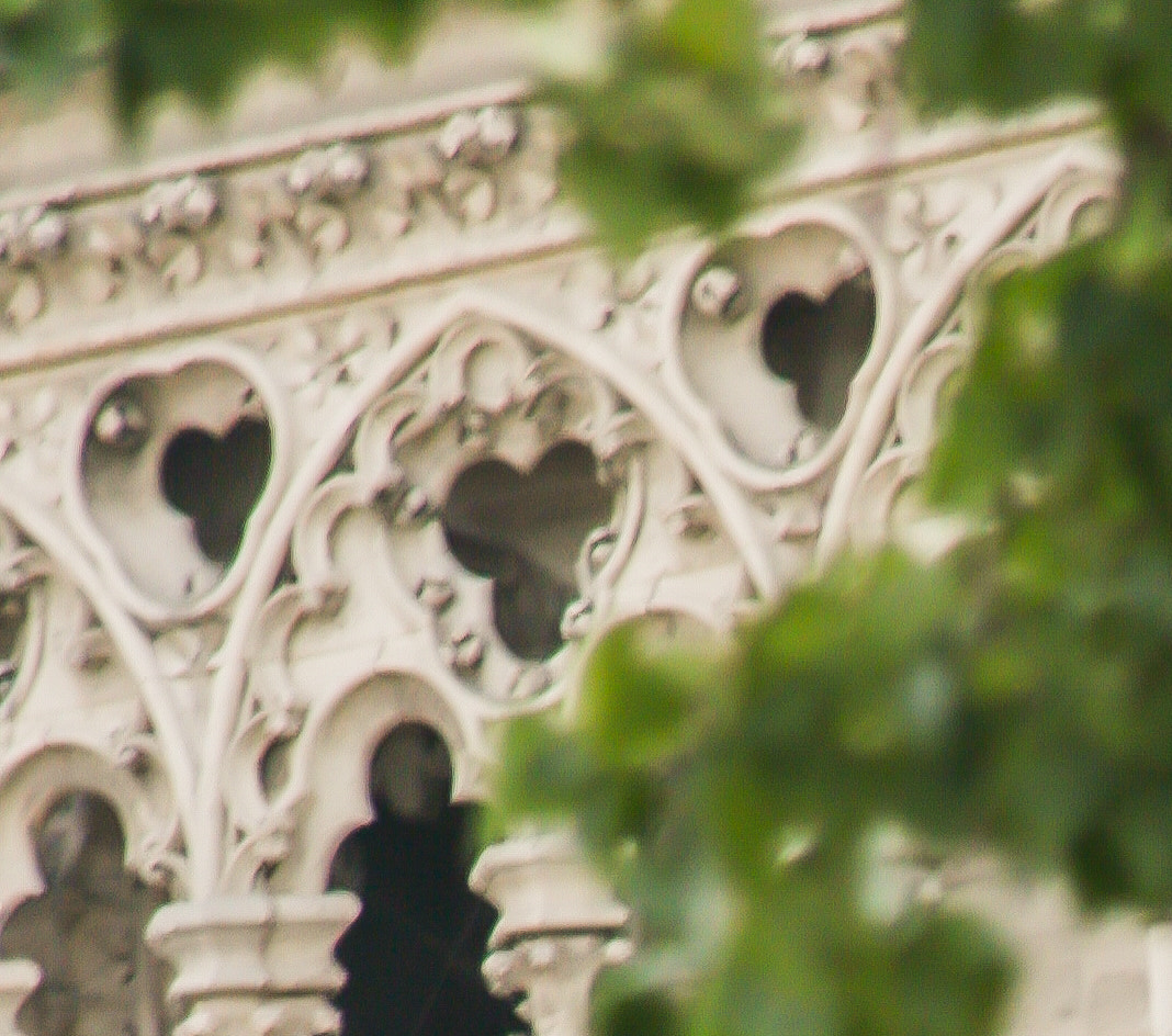 Canon EF 75-300mm f/4-5.6 USM sample photo. Architecture photography