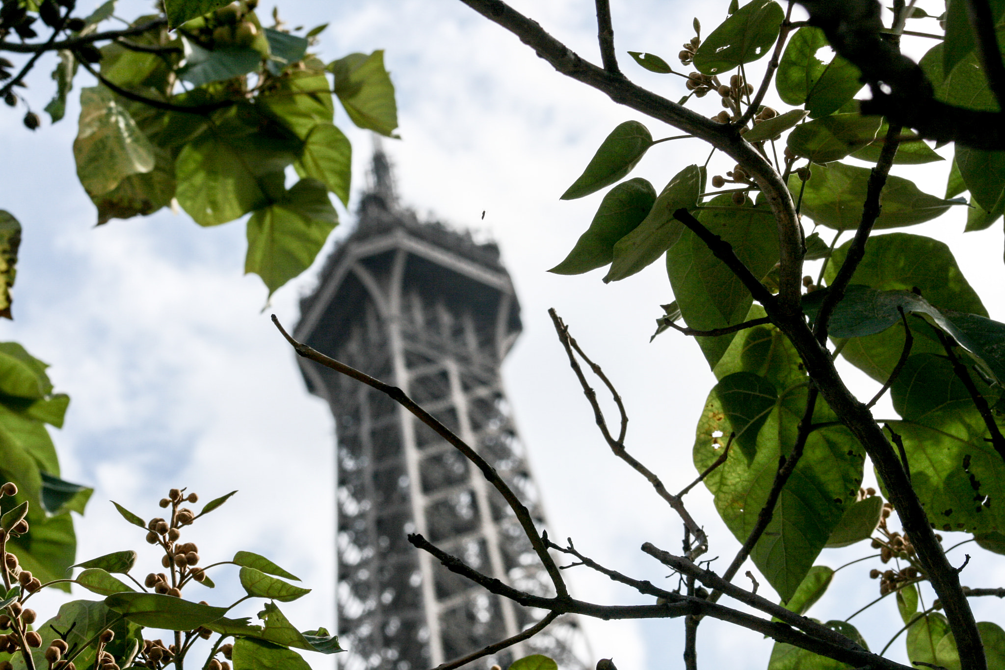 Canon EF 75-300mm f/4-5.6 USM sample photo. Architecture photography