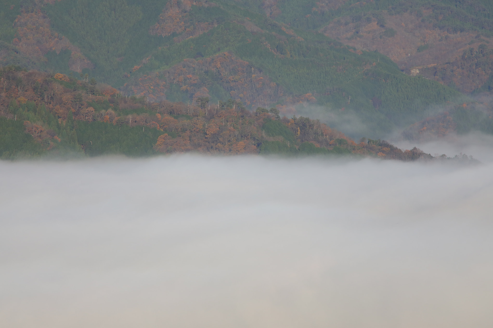 Canon EF 70-210mm f/3.5-4.5 USM sample photo. Takeda castle photography