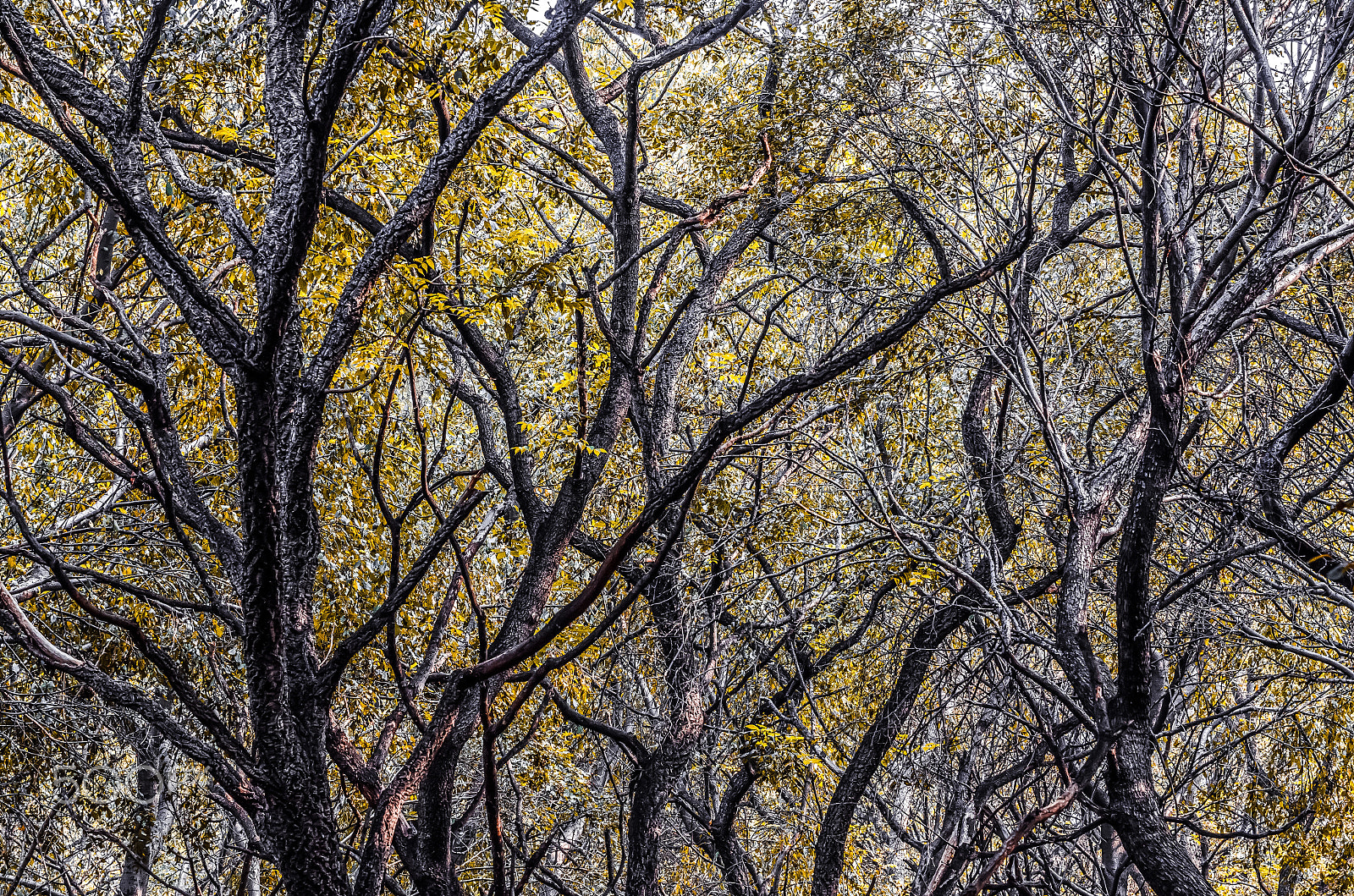AF-S Zoom-Nikkor 80-200mm f/2.8D IF-ED sample photo. Life photography