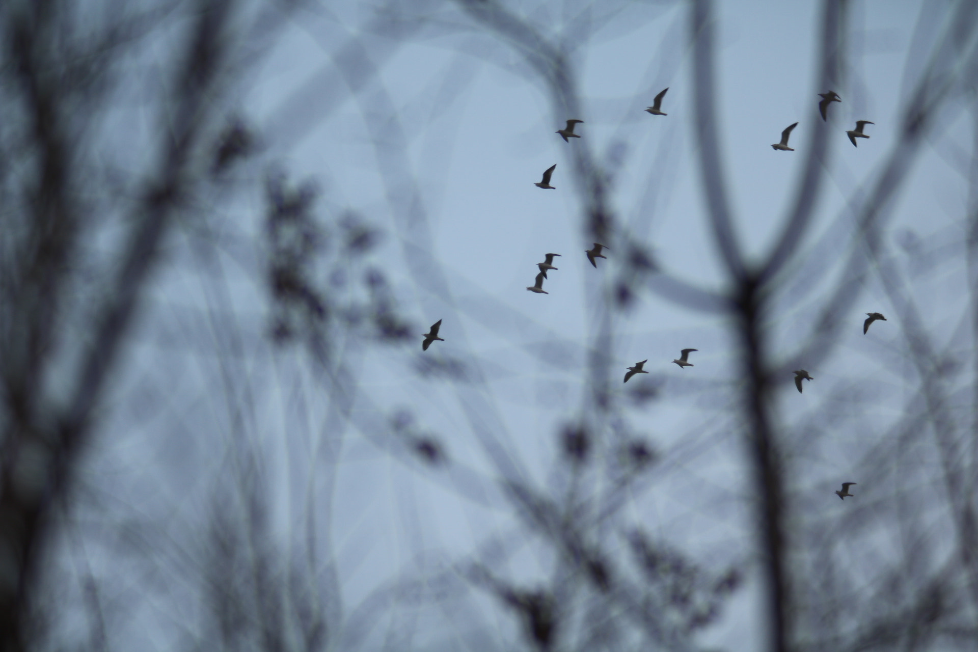 Canon EF 35-80mm f/4-5.6 sample photo
