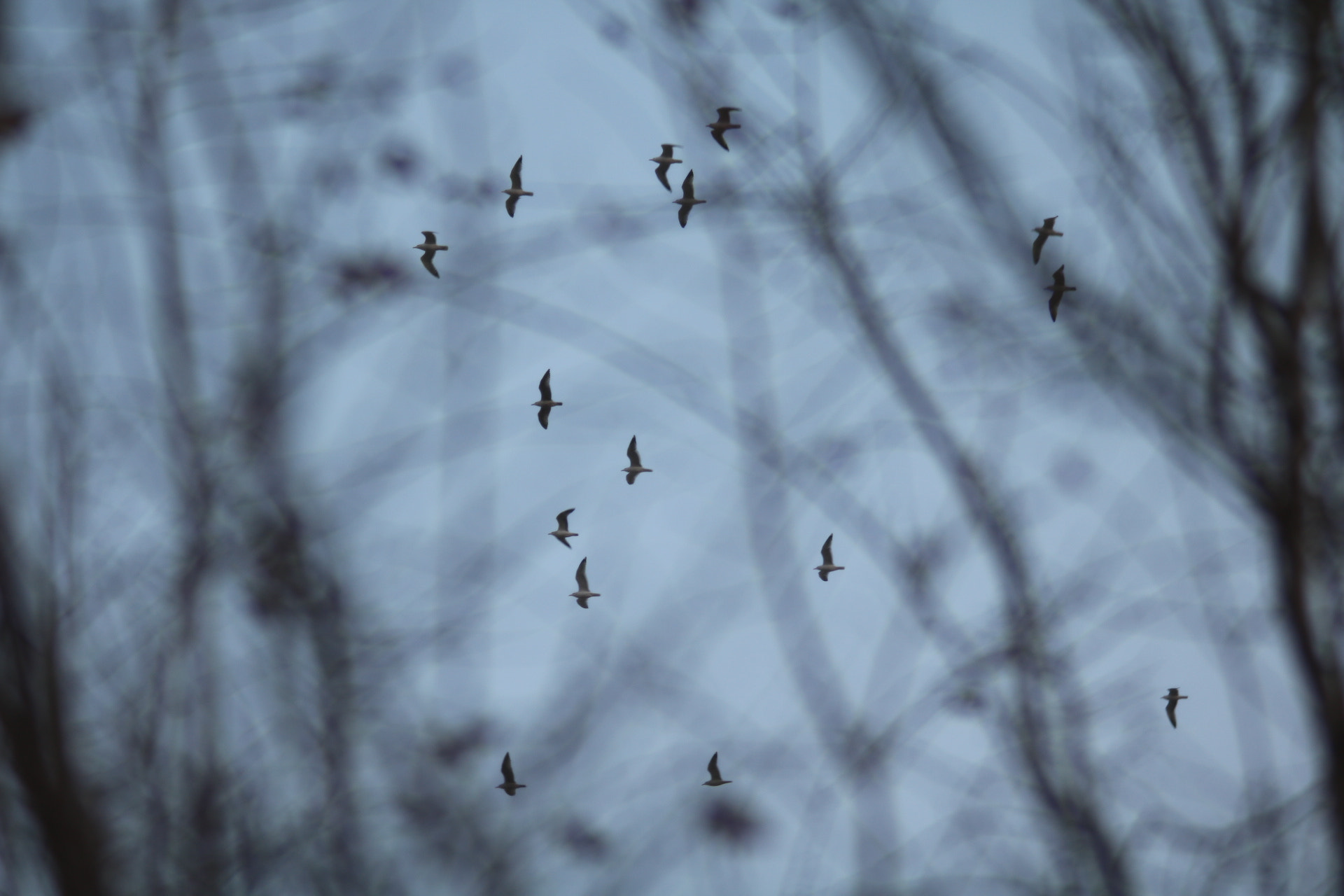 Canon EF 35-80mm f/4-5.6 sample photo