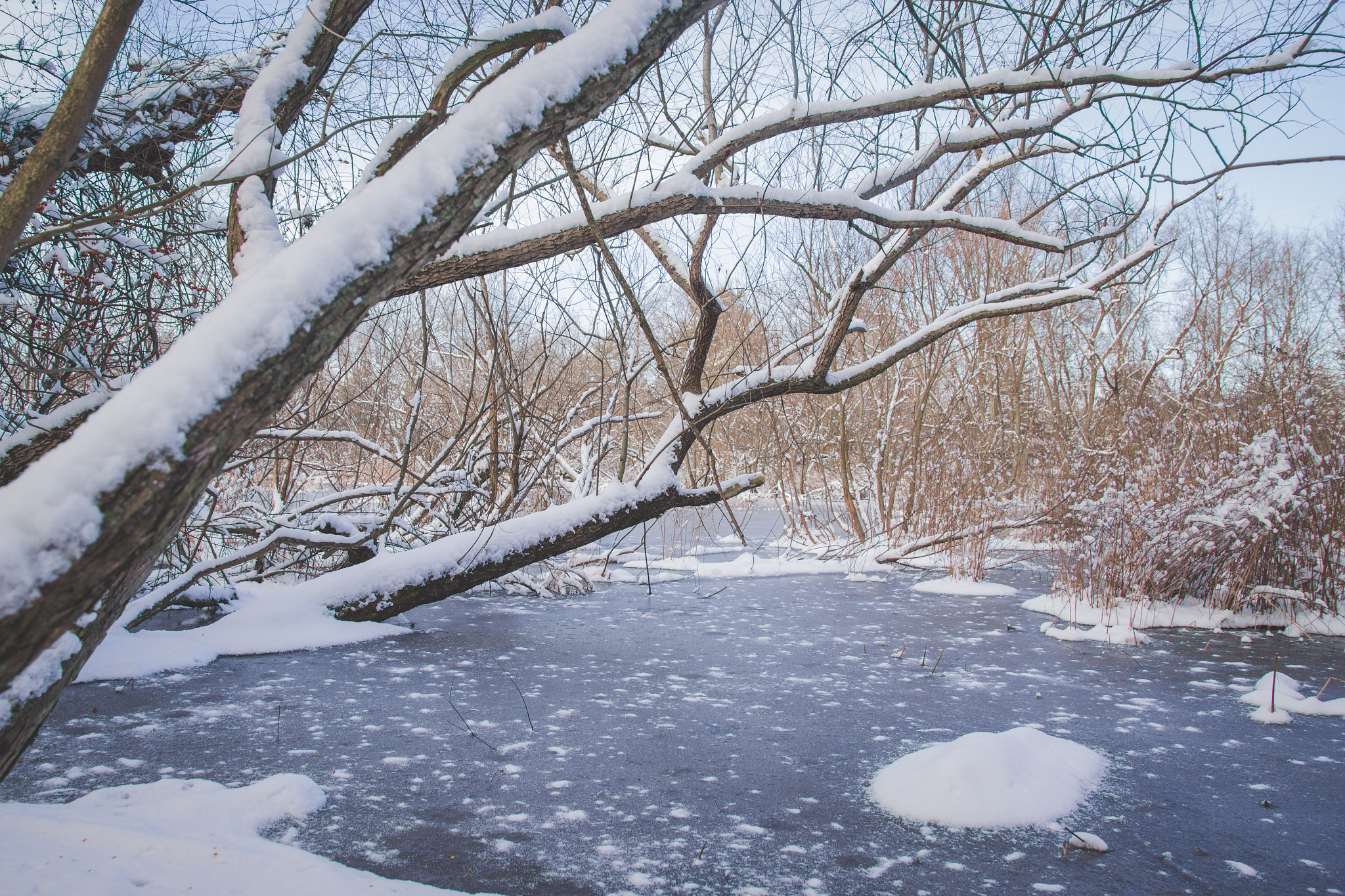 Pentax K-70 sample photo. Icy one photography