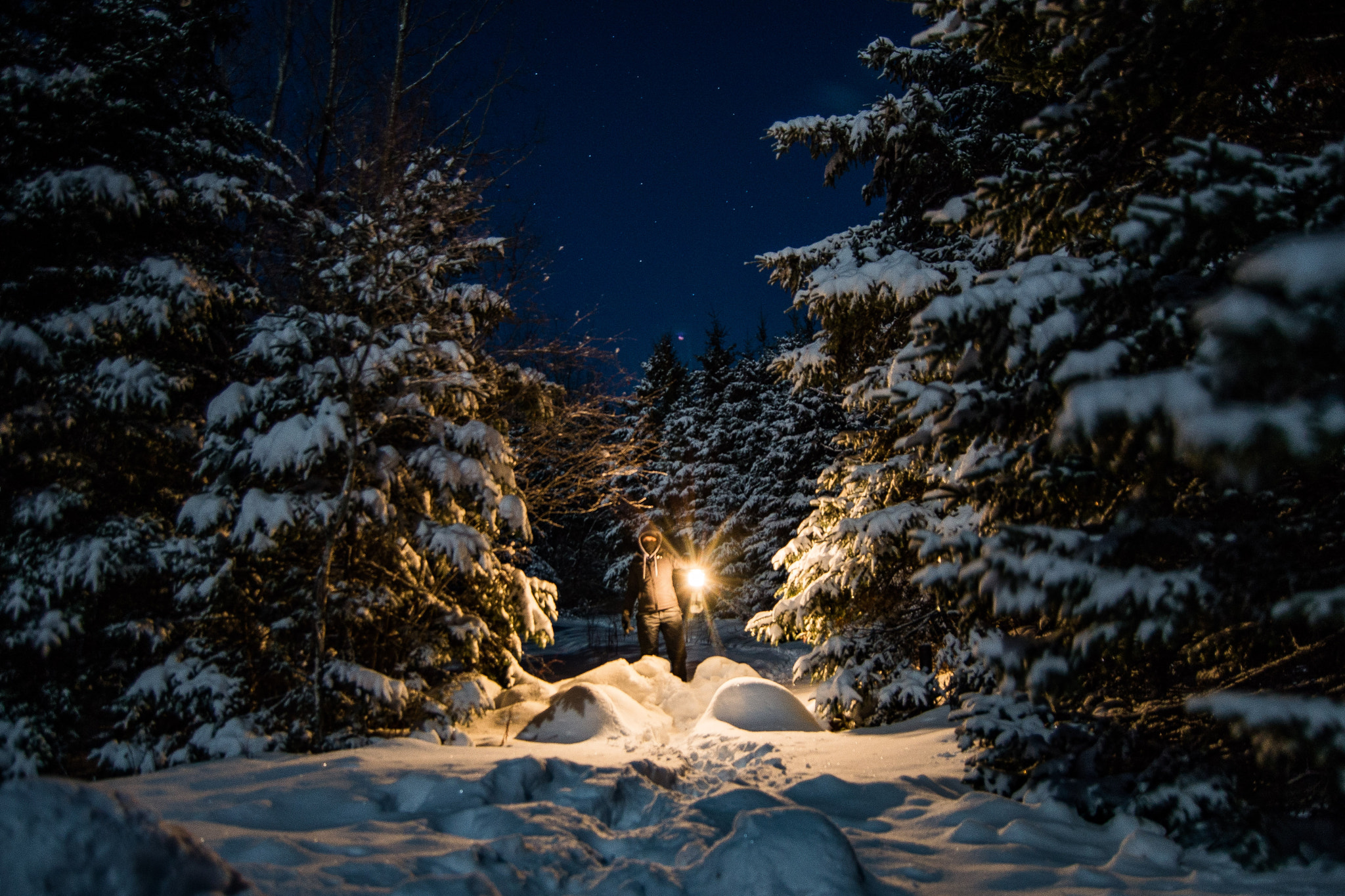 Nikon D600 sample photo. Lady with a light. nova scotia last month. photography