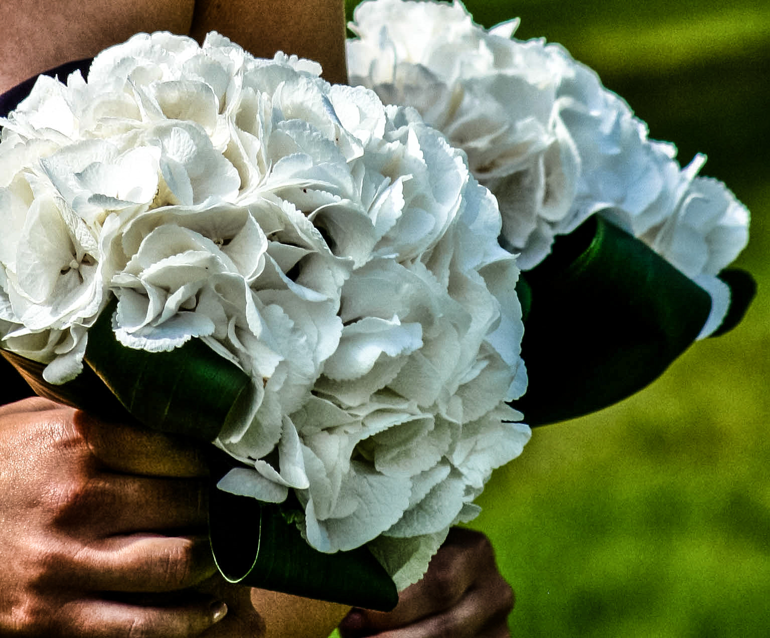 Canon EF 75-300mm f/4-5.6 USM sample photo. Florals photography