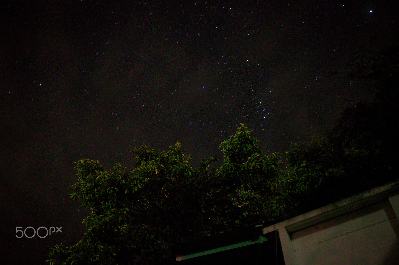 Canon EOS 500D (EOS Rebel T1i / EOS Kiss X3) + Canon EF-S 18-55mm F3.5-5.6 II sample photo. Starry night photography