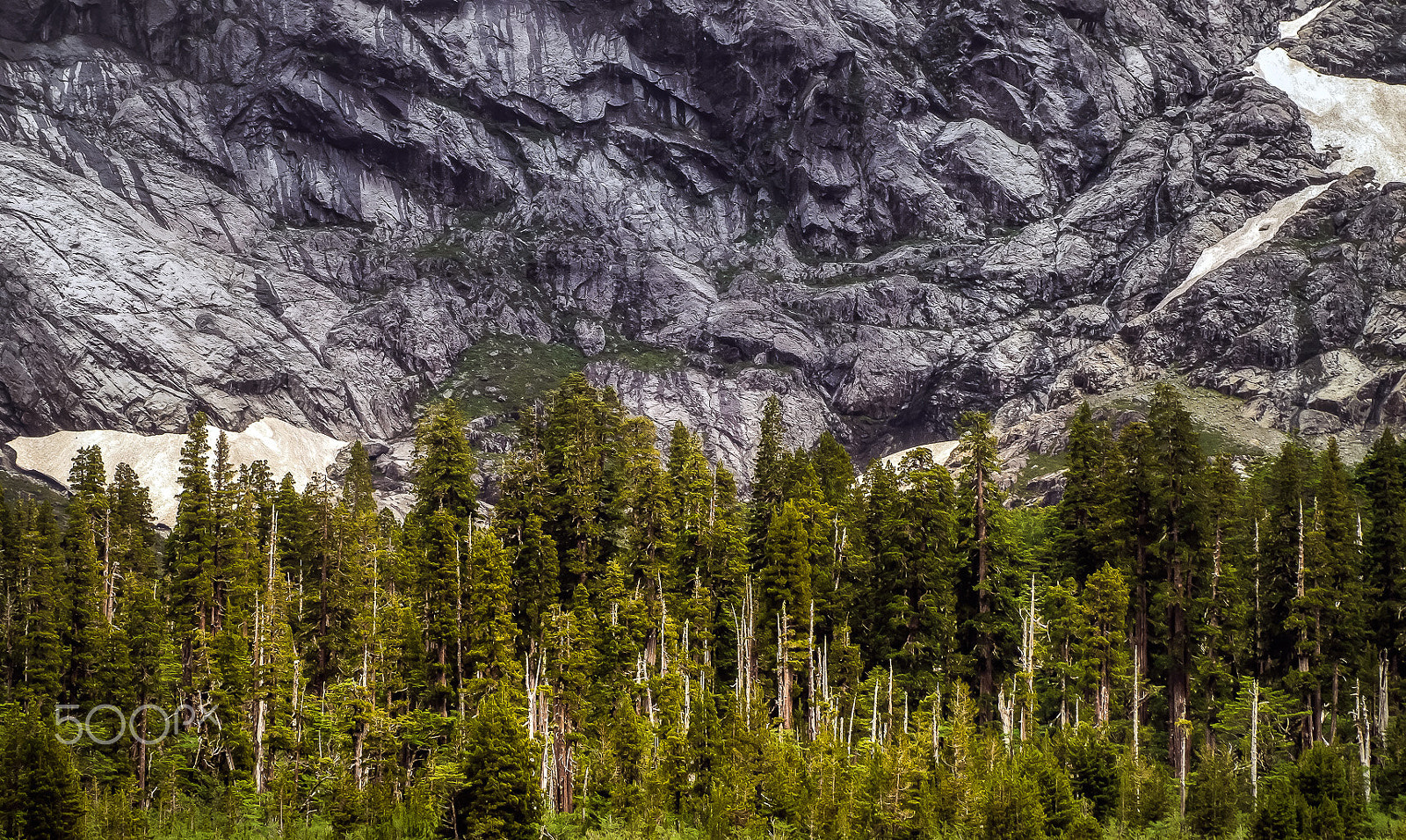 Sony 75-300mm F4.5-5.6 sample photo. Earth´s contrasts photography