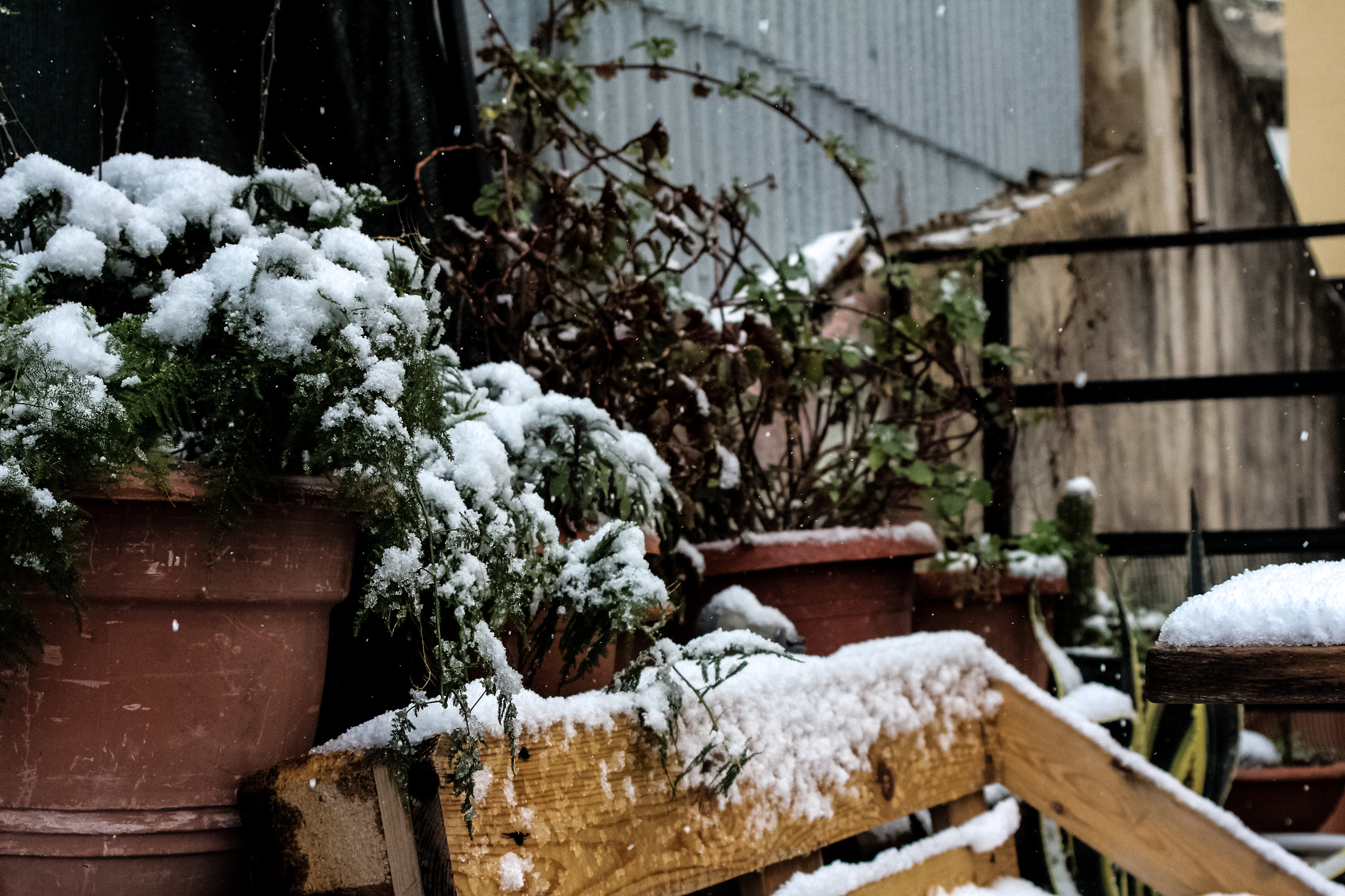 Canon EF 38-76mm f/4.5-5.6 sample photo
