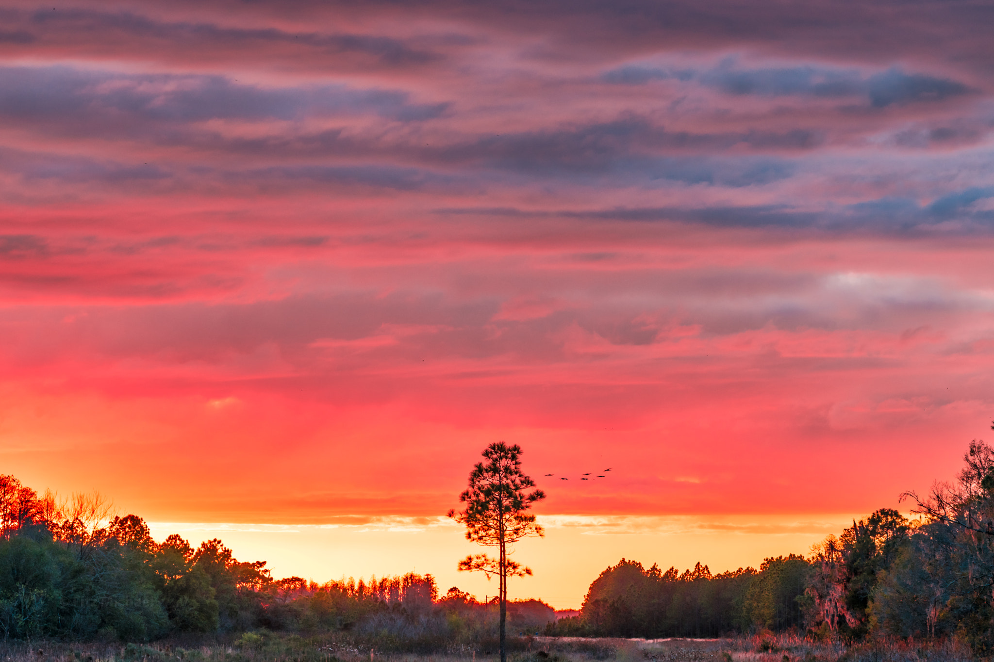Sony FE 70-300mm F4.5-5.6 G OSS sample photo. Epic sunset tonight!!! photography