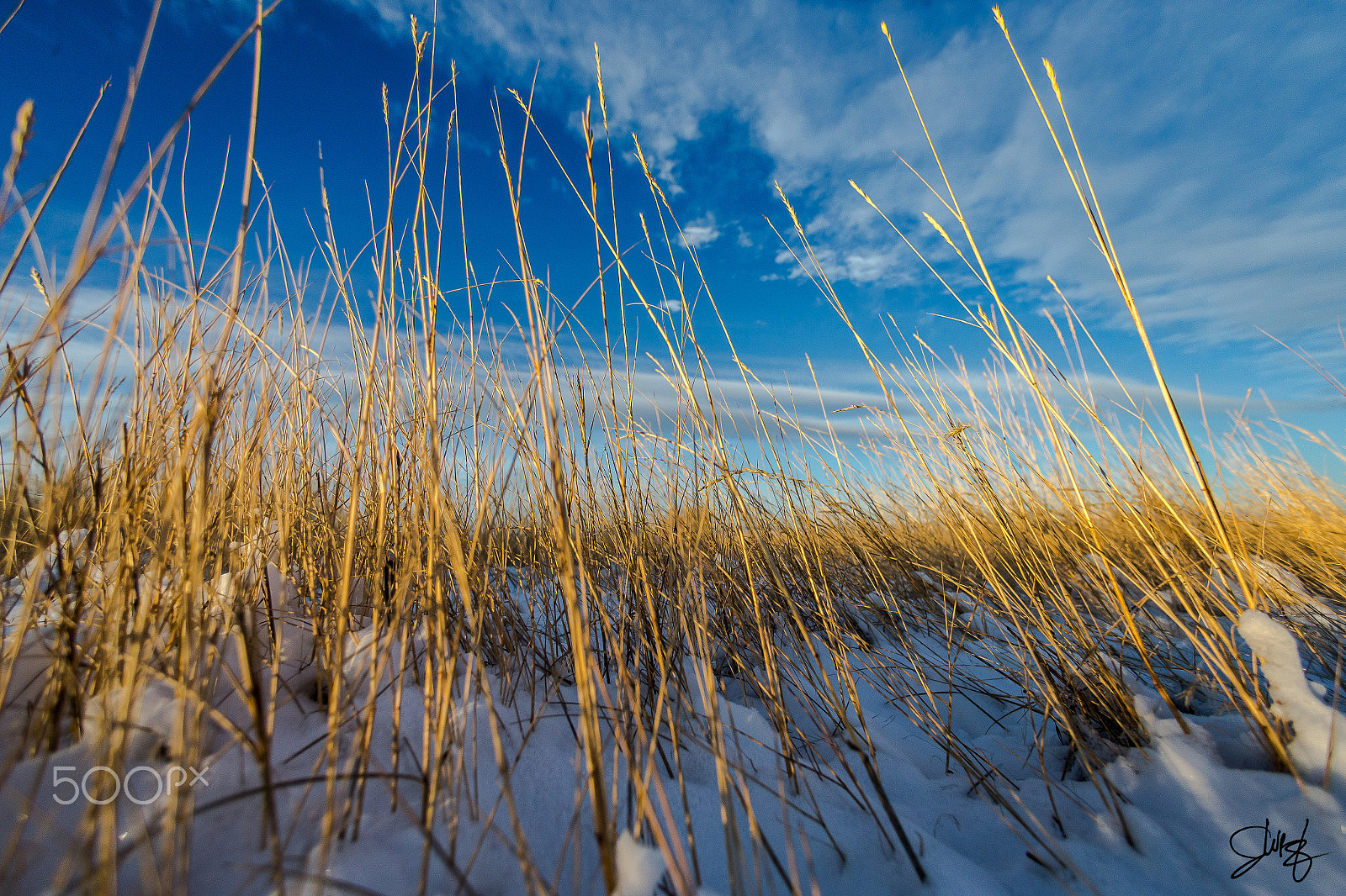 Canon EOS-1D X sample photo. Colorado sky photography