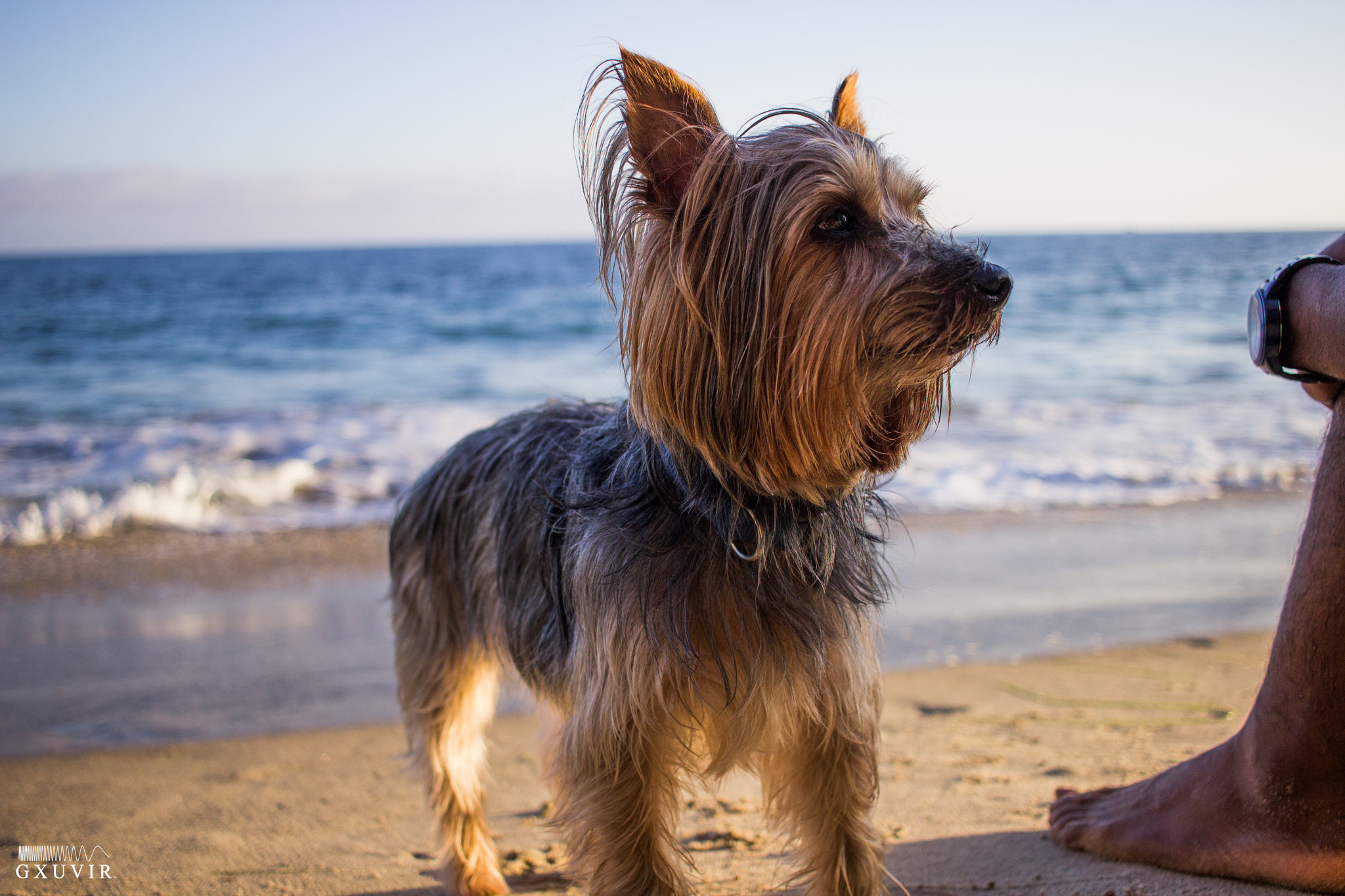 Canon EF-S 24mm F2.8 STM sample photo. Kenneth & kim photography