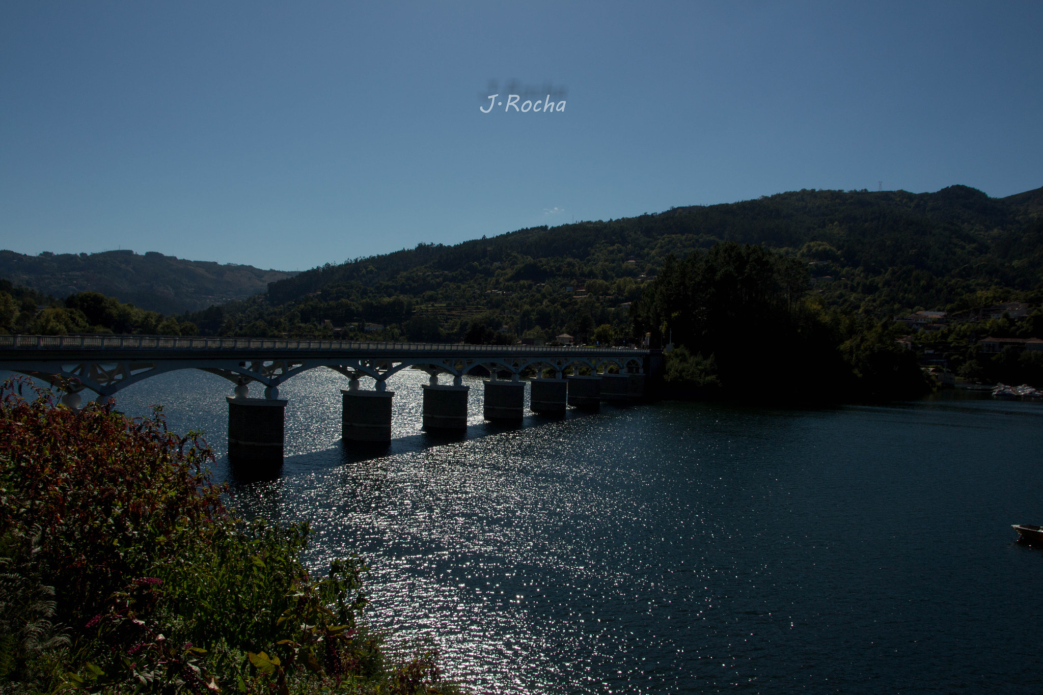 Sigma 18-250mm F3.5-6.3 DC OS HSM sample photo. Img photography