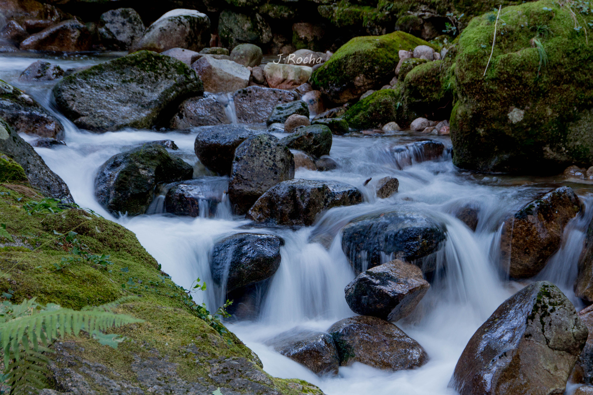 Sigma 18-250mm F3.5-6.3 DC OS HSM sample photo. Img photography