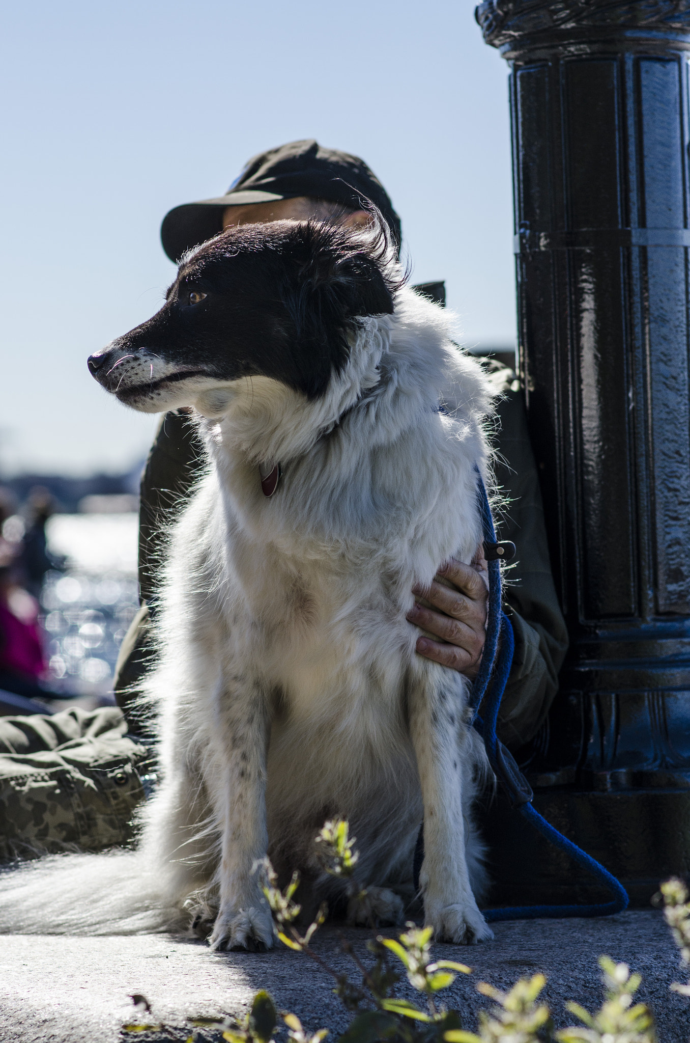 Nikon D5100 + Nikon AF-S Nikkor 85mm F1.8G sample photo. Best friends photography