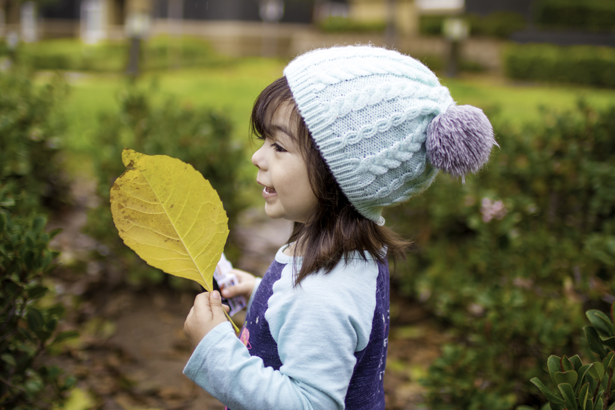 Sigma 30mm F1.4 EX DC HSM sample photo. Img photography