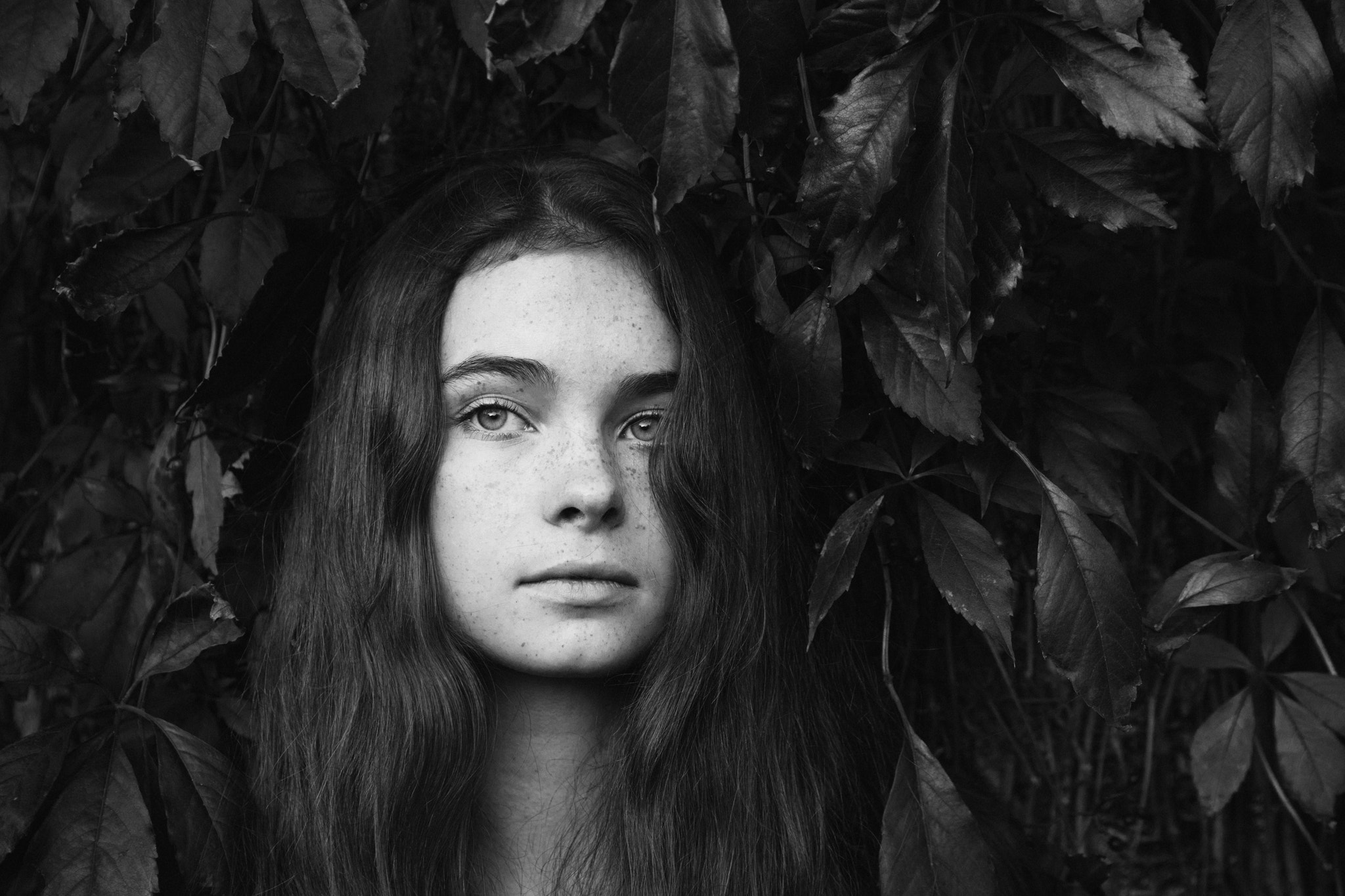 Sigma 24-105mm f/4 DG OS HSM | A sample photo. Vines photography