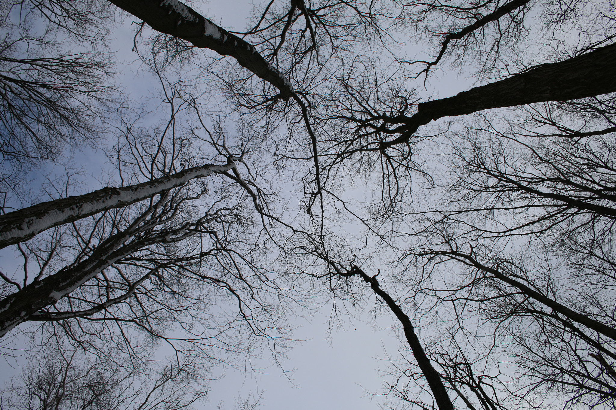 Canon EF-S 18-55mm F3.5-5.6 II sample photo. Beauty photography