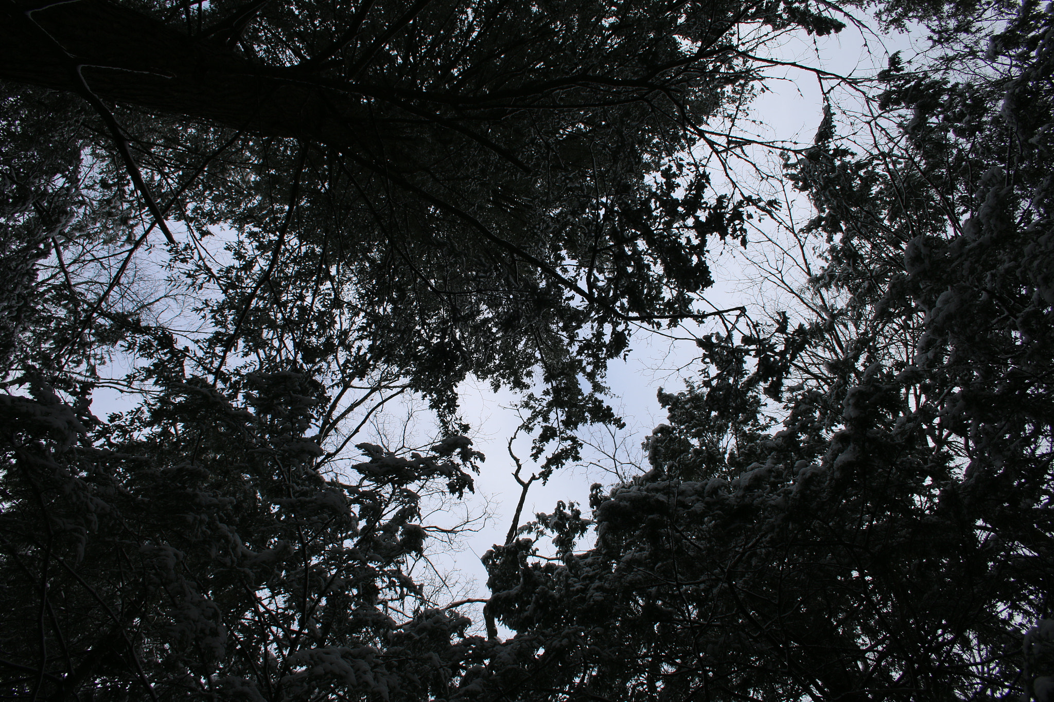 Canon EF-S 18-55mm F3.5-5.6 II sample photo. Mine photography