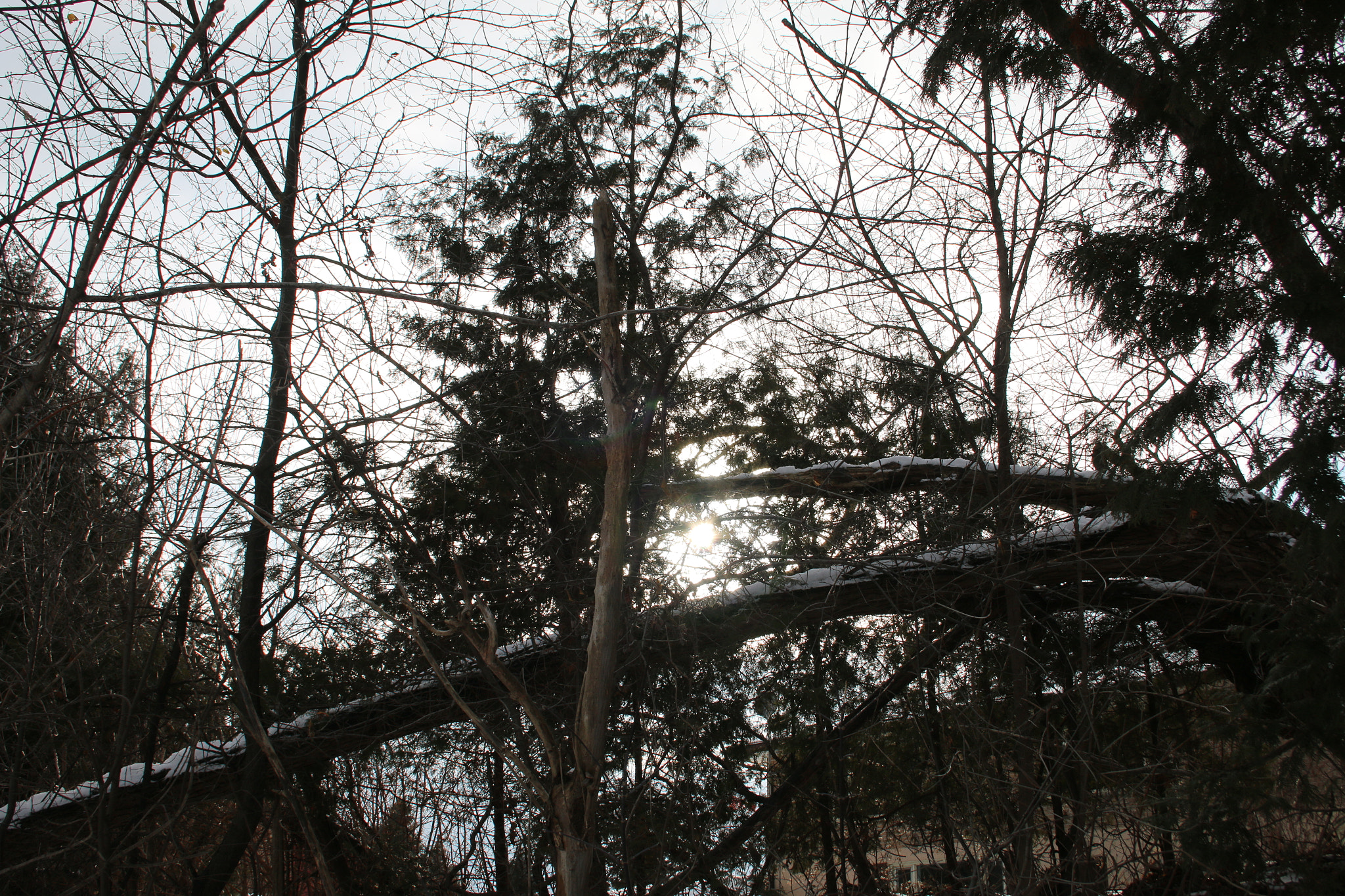 Canon EF-S 18-55mm F3.5-5.6 II sample photo. Mine photography