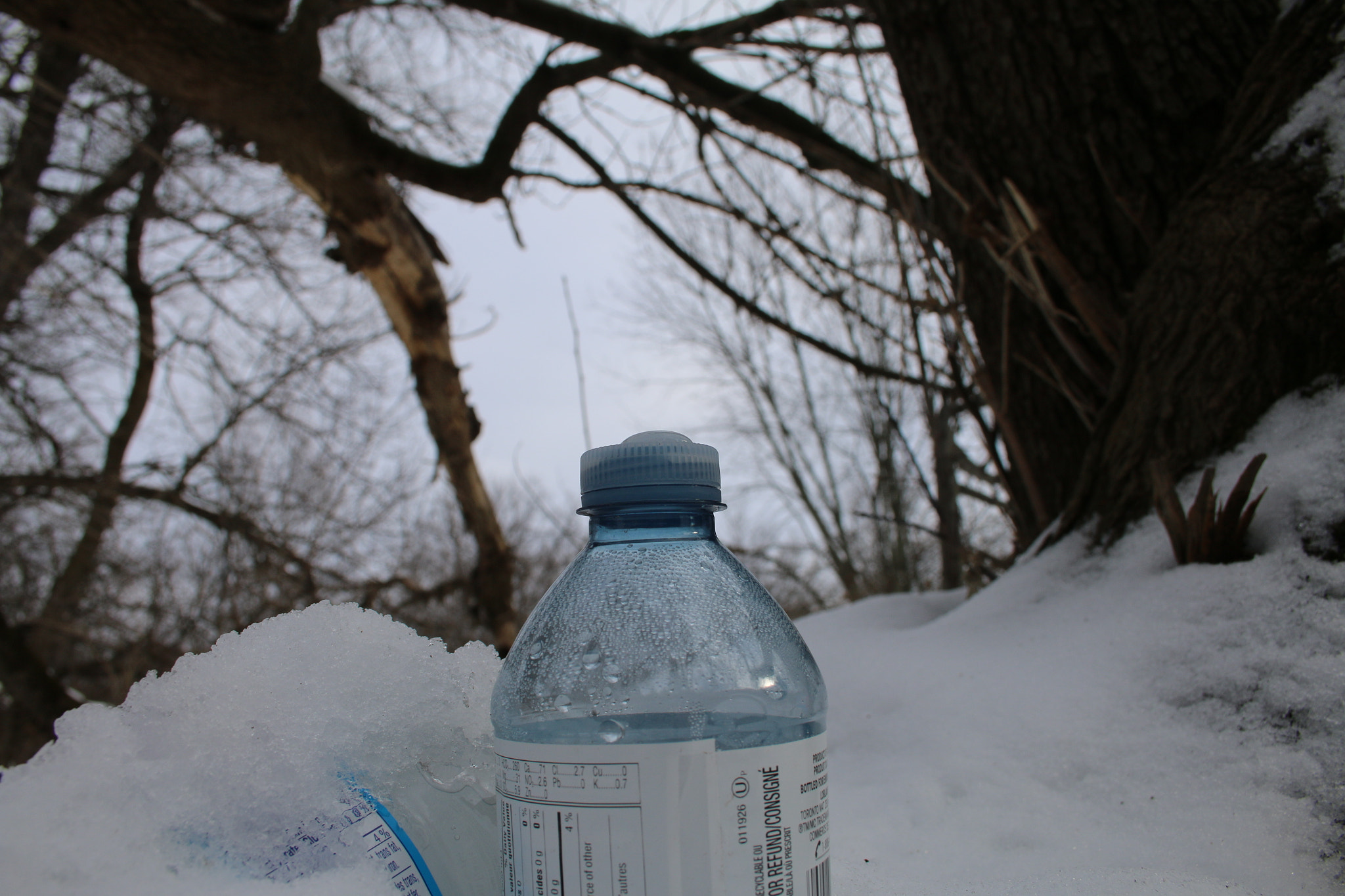 Canon EF-S 18-55mm F3.5-5.6 II sample photo. Mine photography