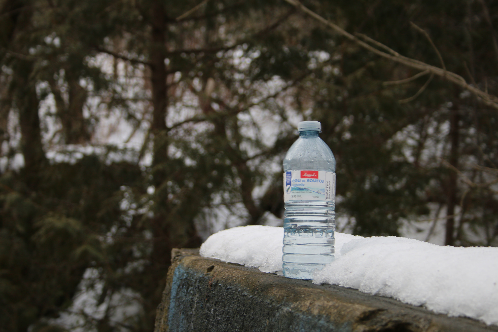 Canon EF-S 18-55mm F3.5-5.6 II sample photo. Mine photography