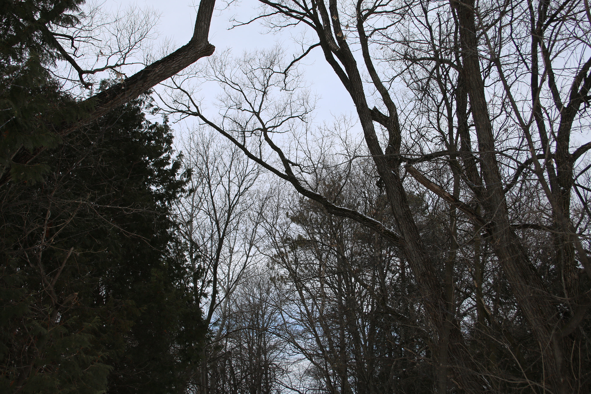 Canon EF-S 18-55mm F3.5-5.6 II sample photo. Mine photography