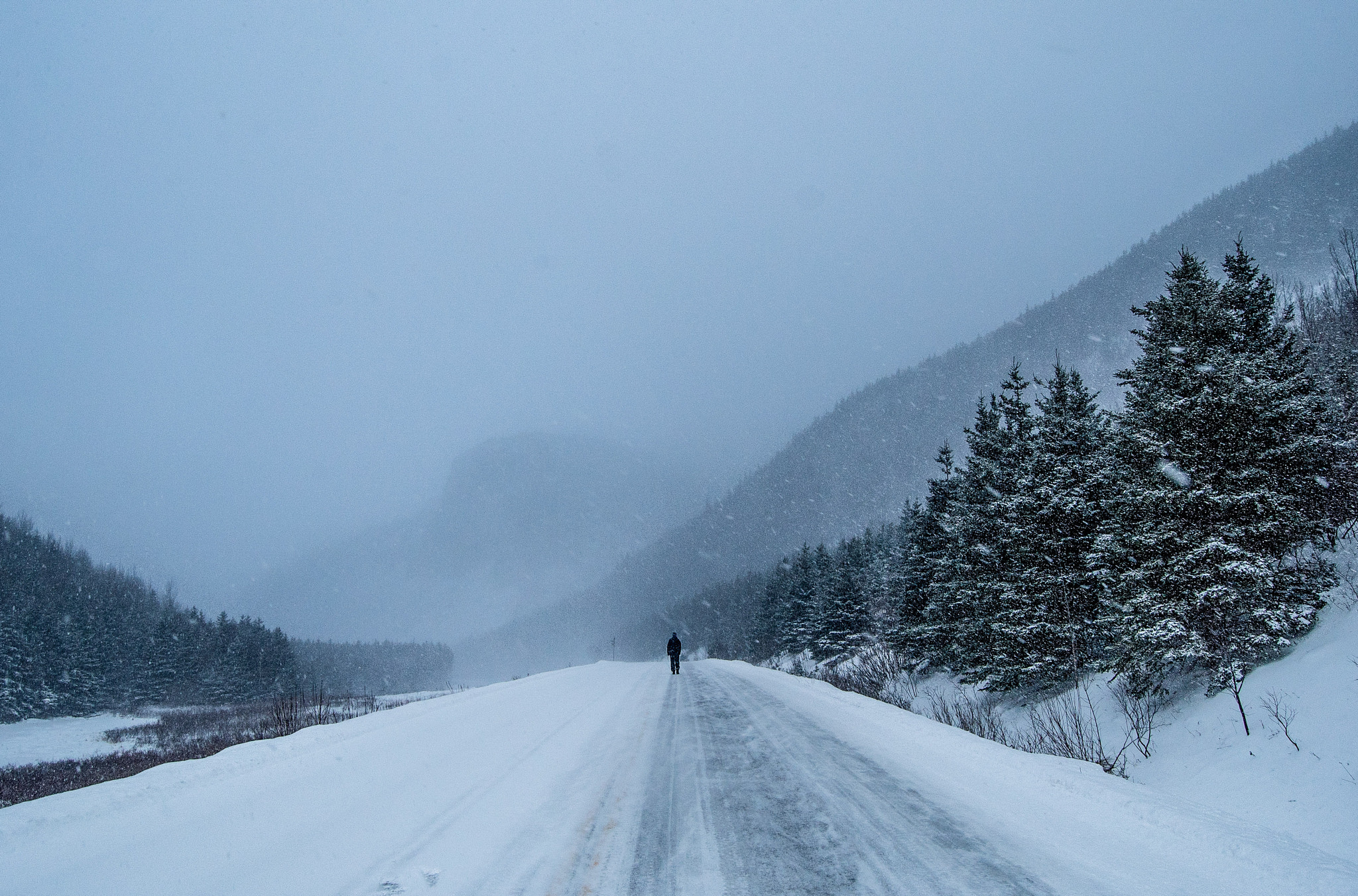 Nikon D600 sample photo. The lonely road ahead. photography