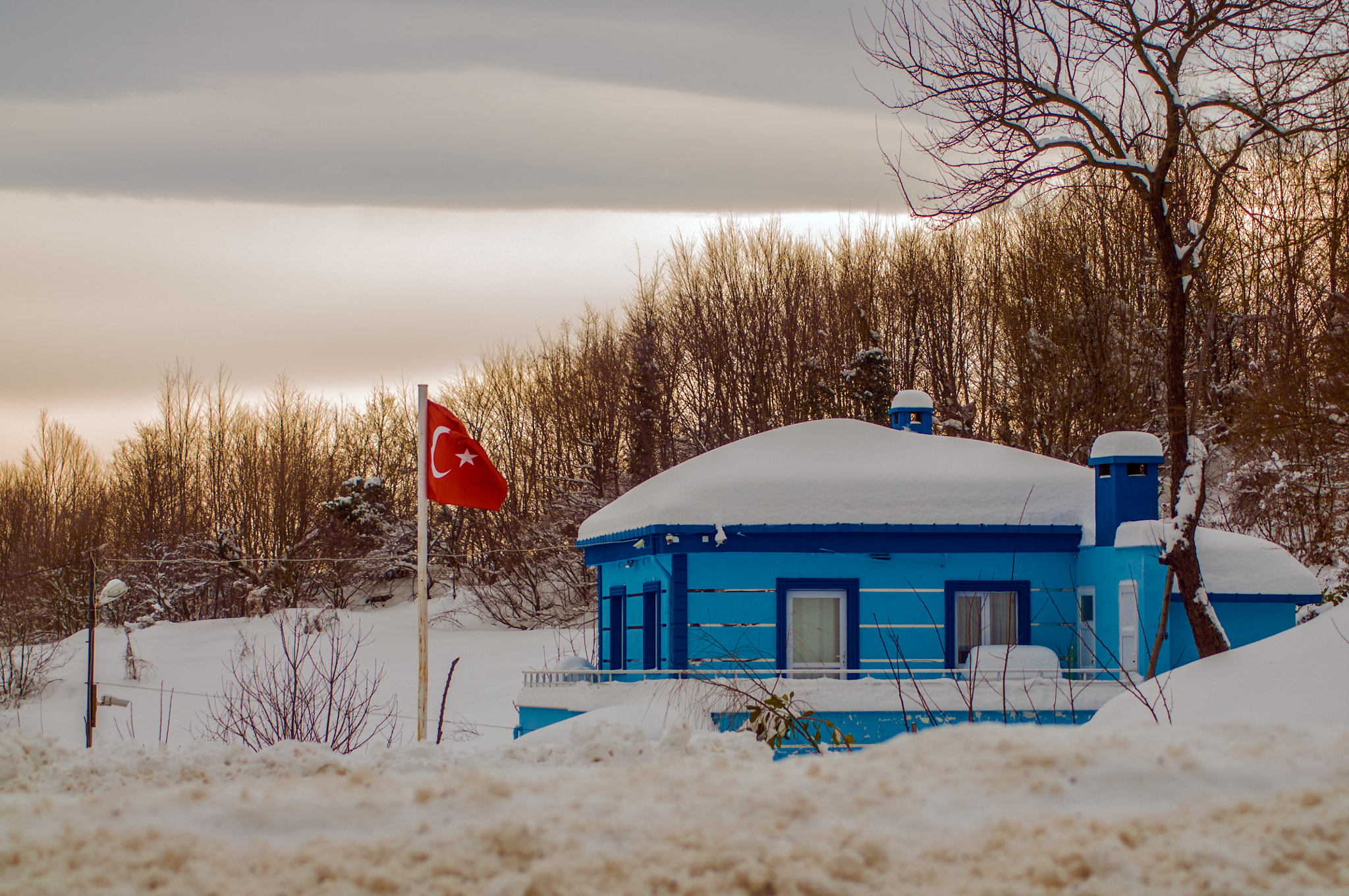 Nikon D300 sample photo. Bayrak photography