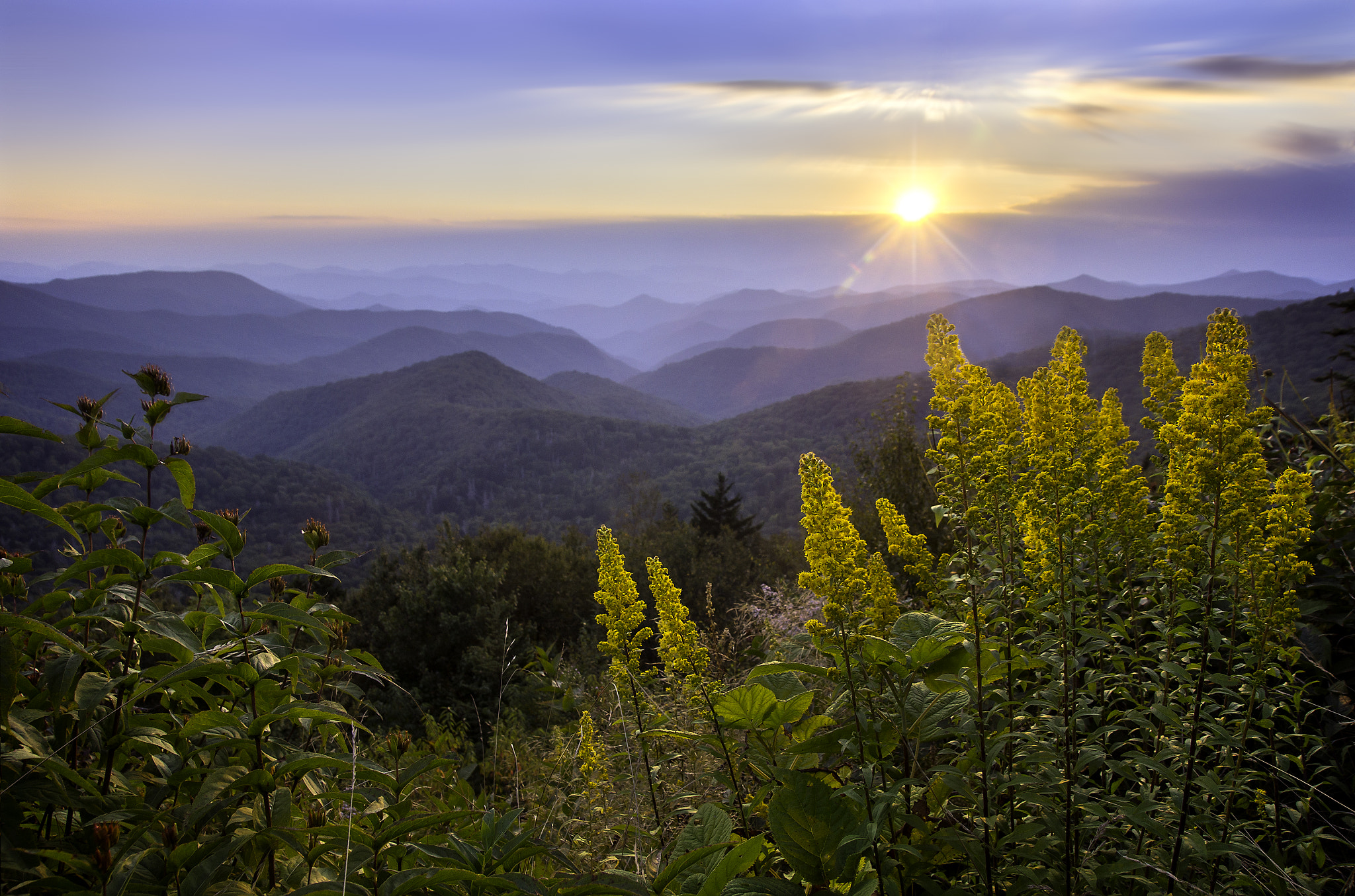 Sony SLT-A57 sample photo. Goldenrod sunset photography