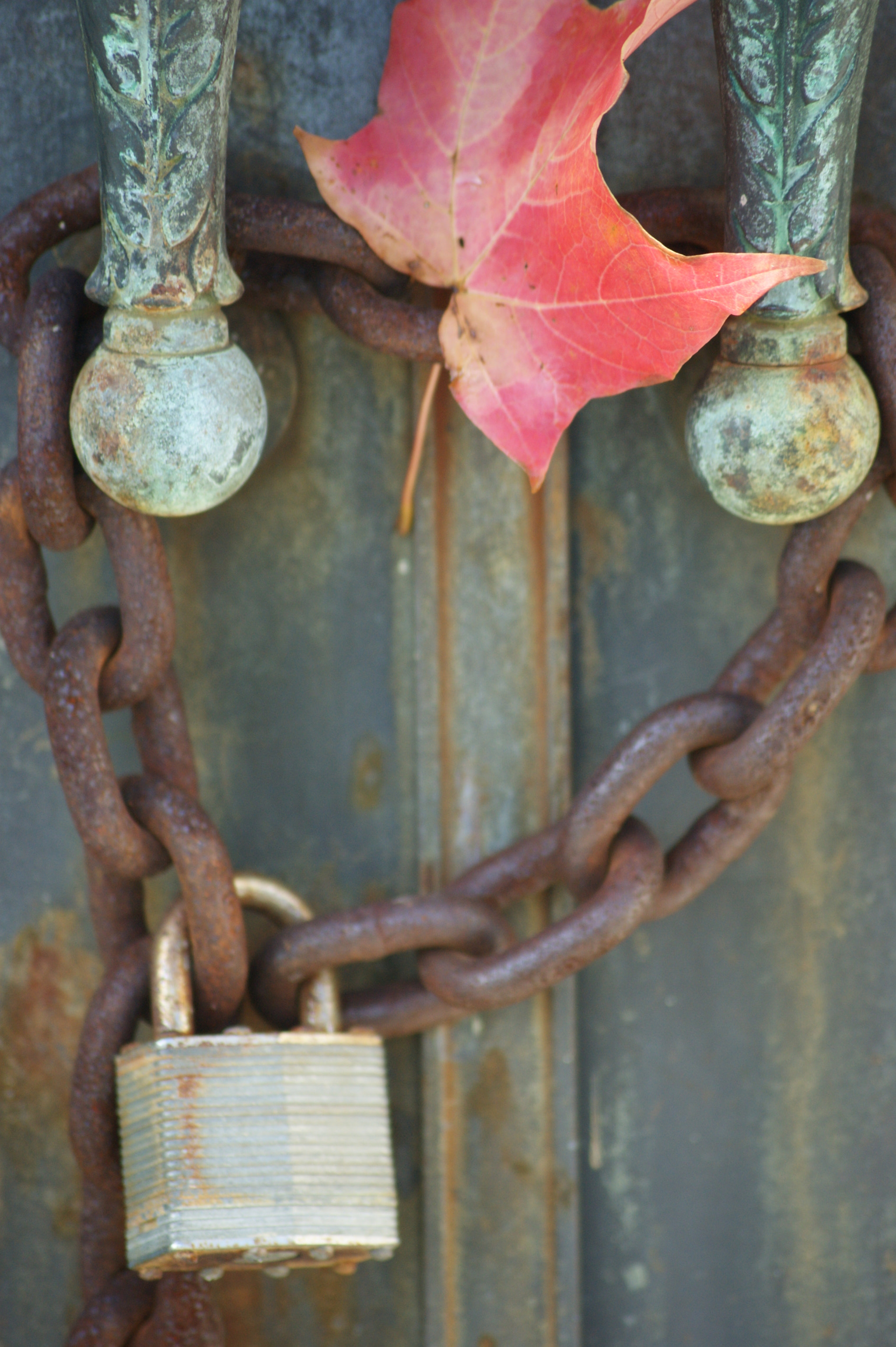 Sony DT 55-200mm F4-5.6 SAM sample photo. Souls locked by autumn photography