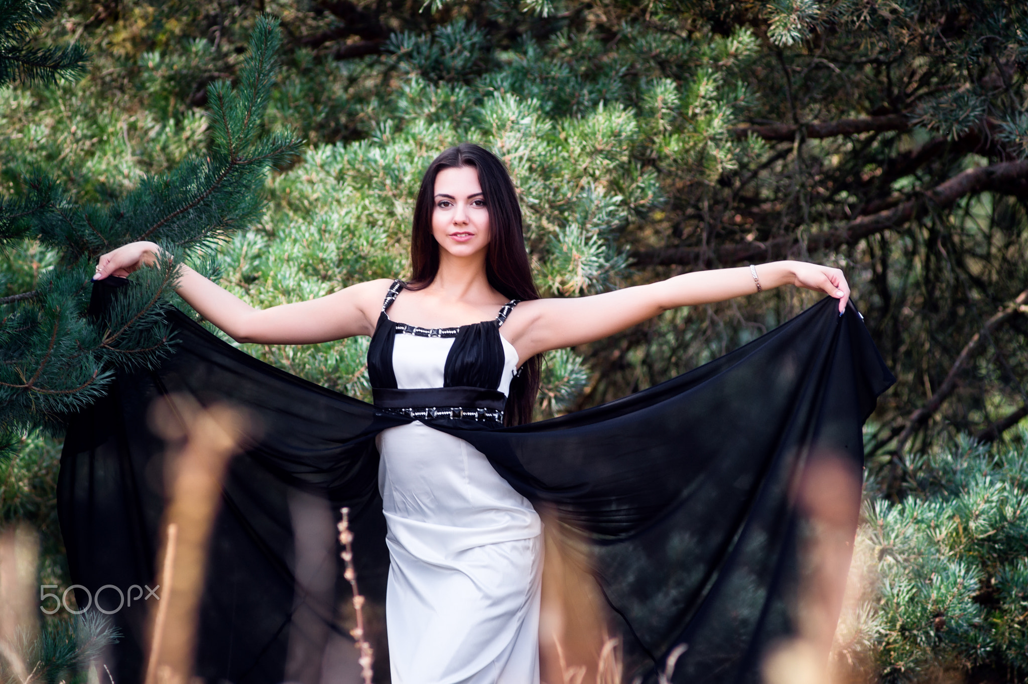 Graceful charming brunette model posing in black dress in coniferous park