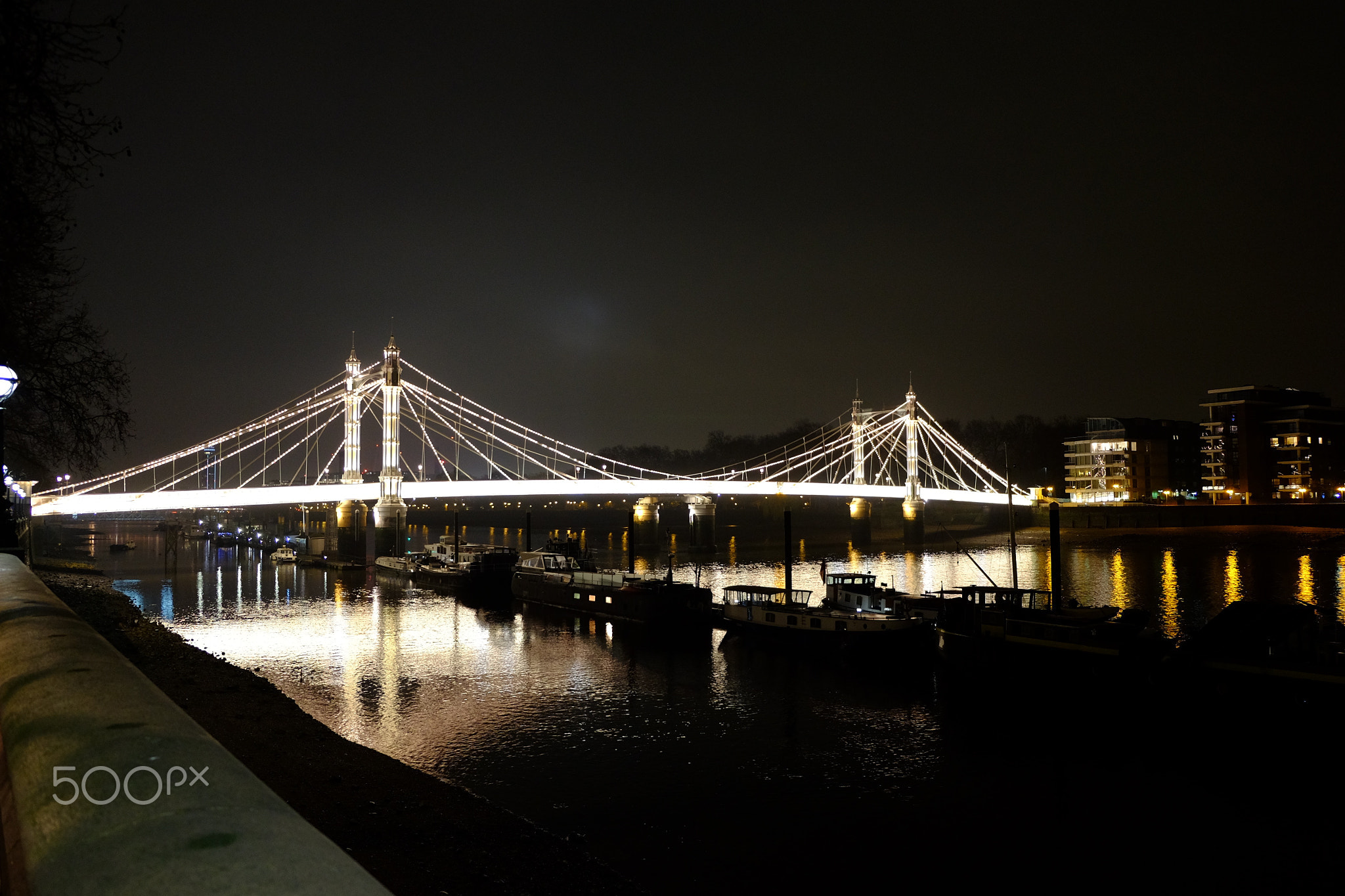 Albert Bridge at night