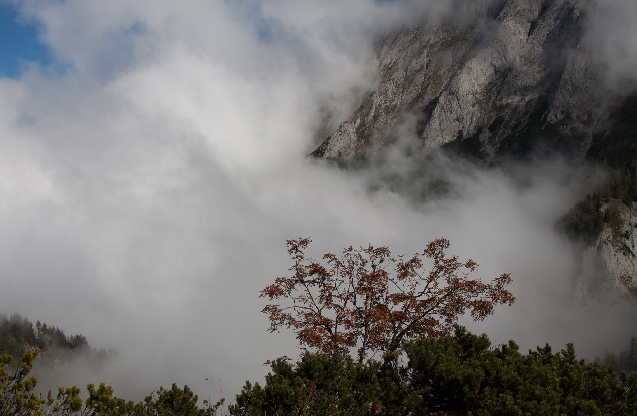 Canon EOS 50D + Canon EF 24-70mm F2.8L II USM sample photo. Mountains with clouds in bavarian alps photography