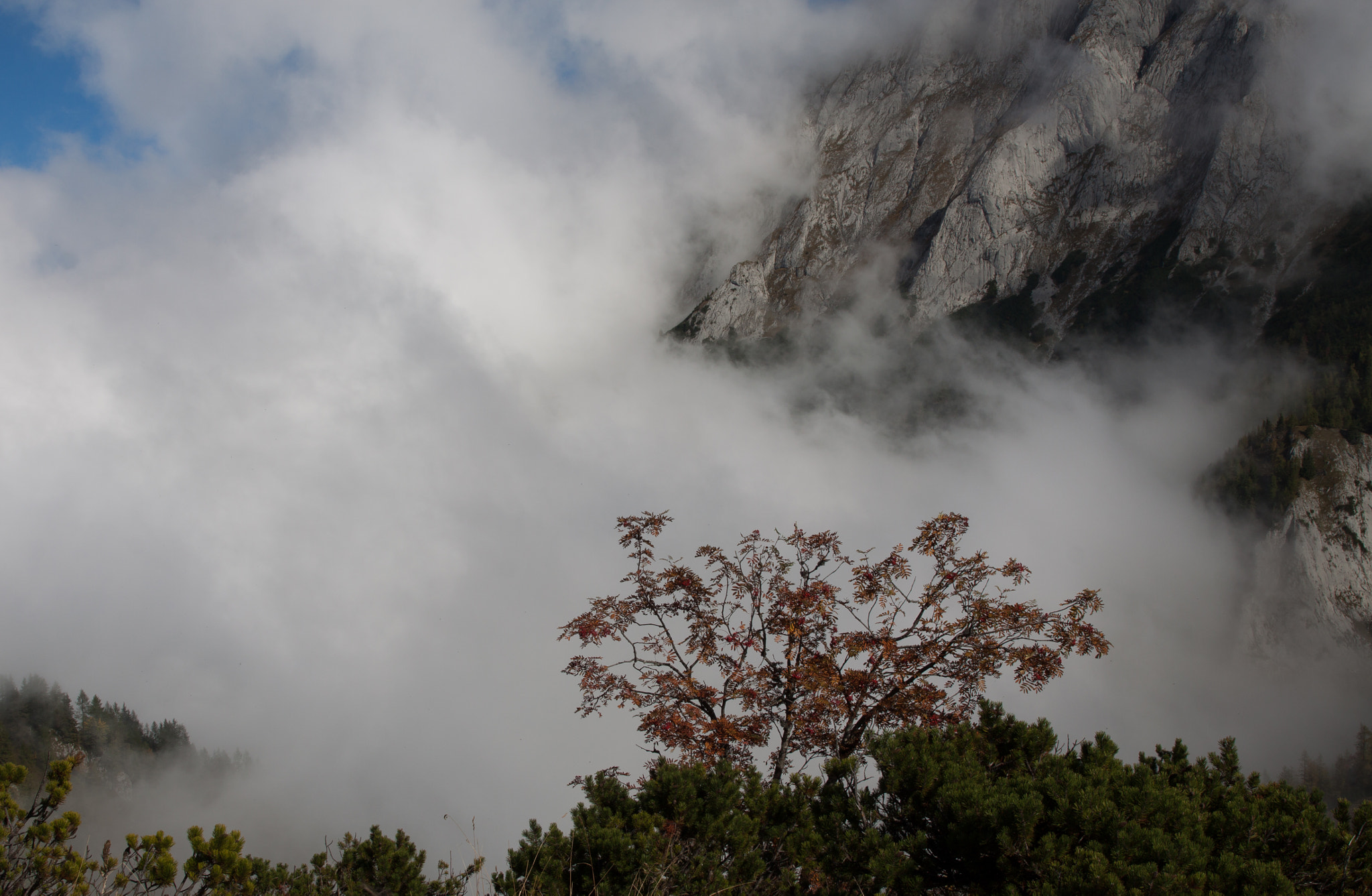 Canon EF 24-70mm F2.8L II USM sample photo. Mountains with clouds in bavarian alps photography