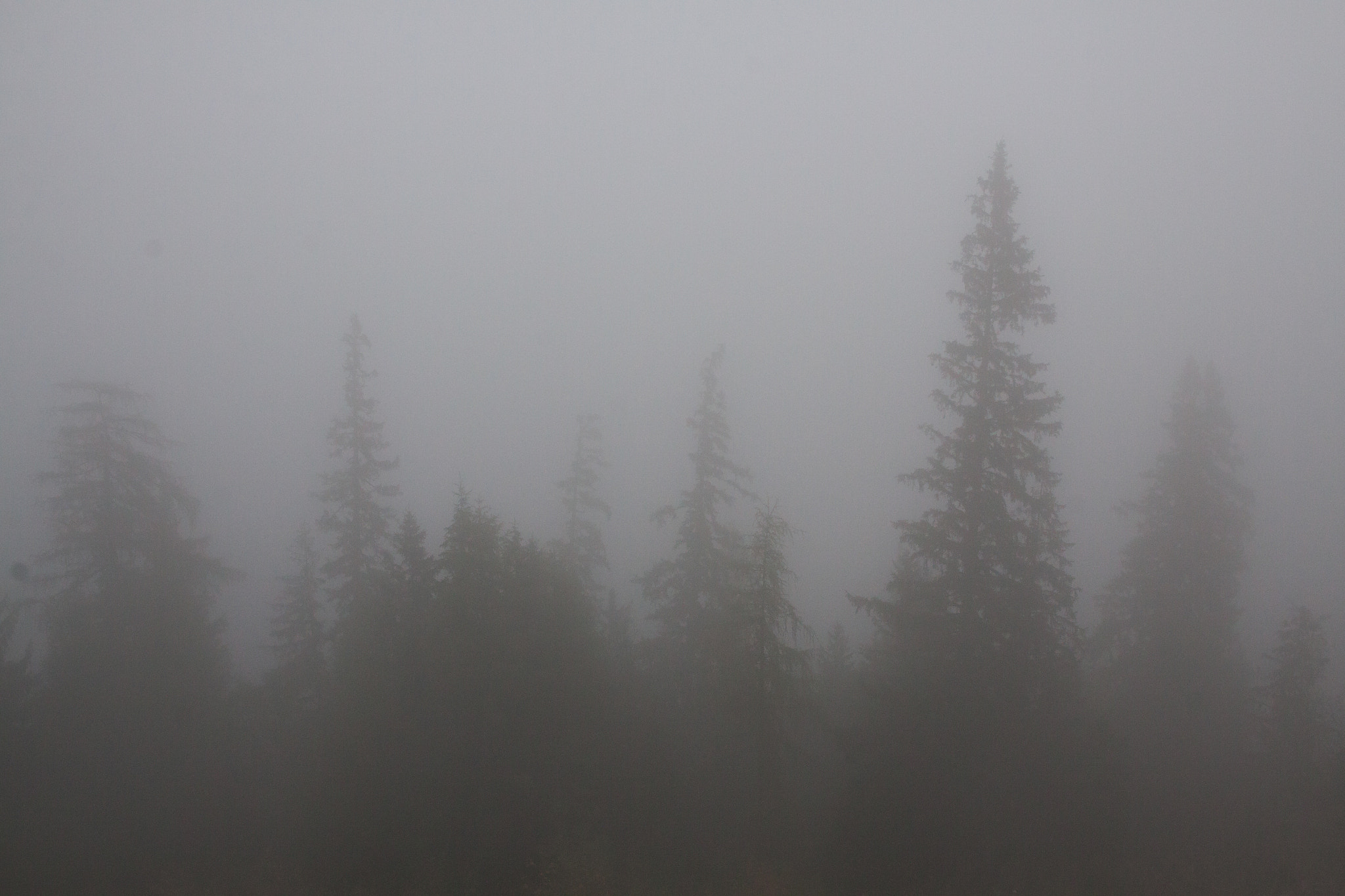 Canon EF 24-70mm F2.8L II USM sample photo. Fog and clouds in the mountains photography