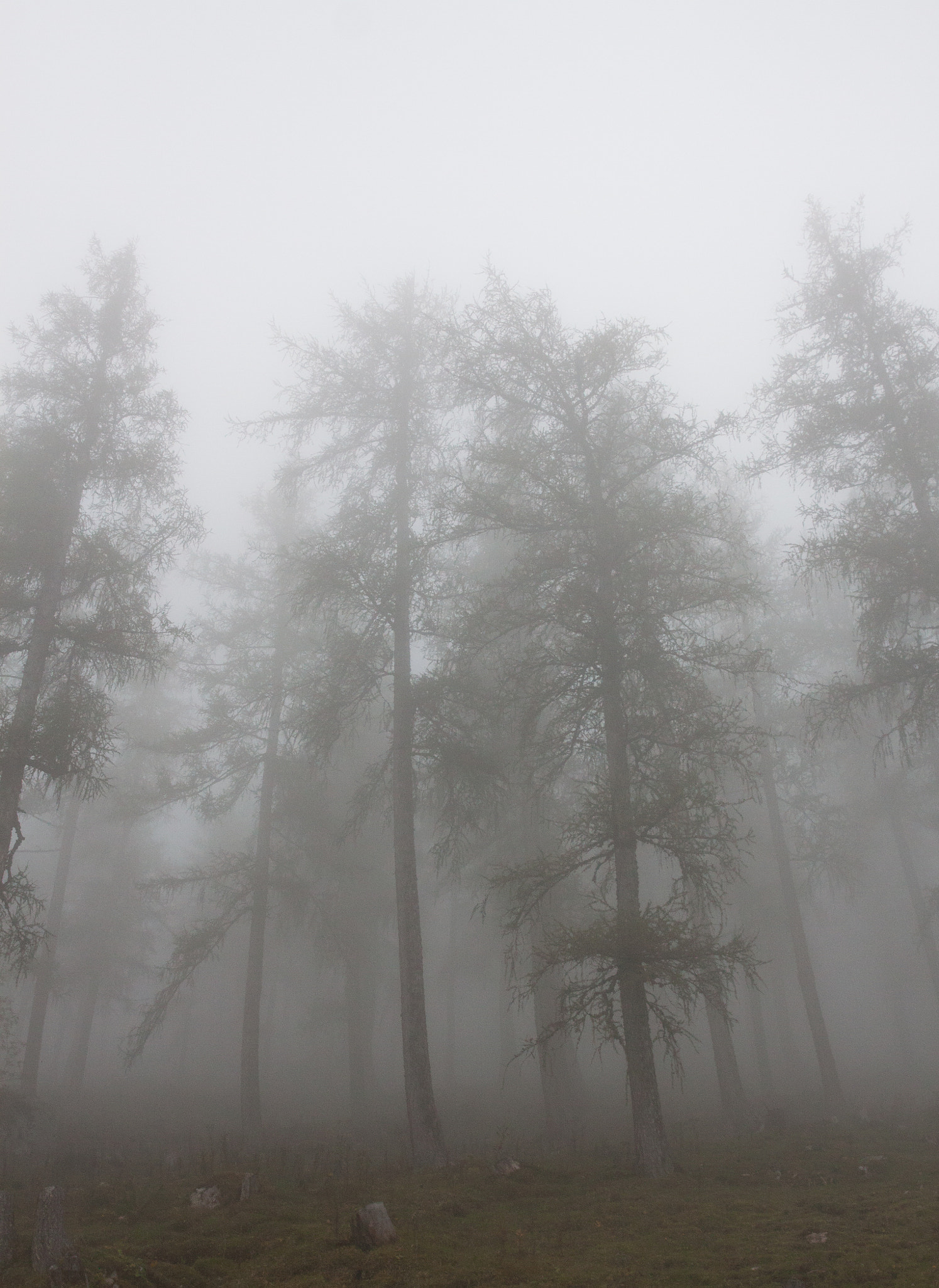 Canon EF 24-70mm F2.8L II USM sample photo. Fog and clouds in the mountains photography
