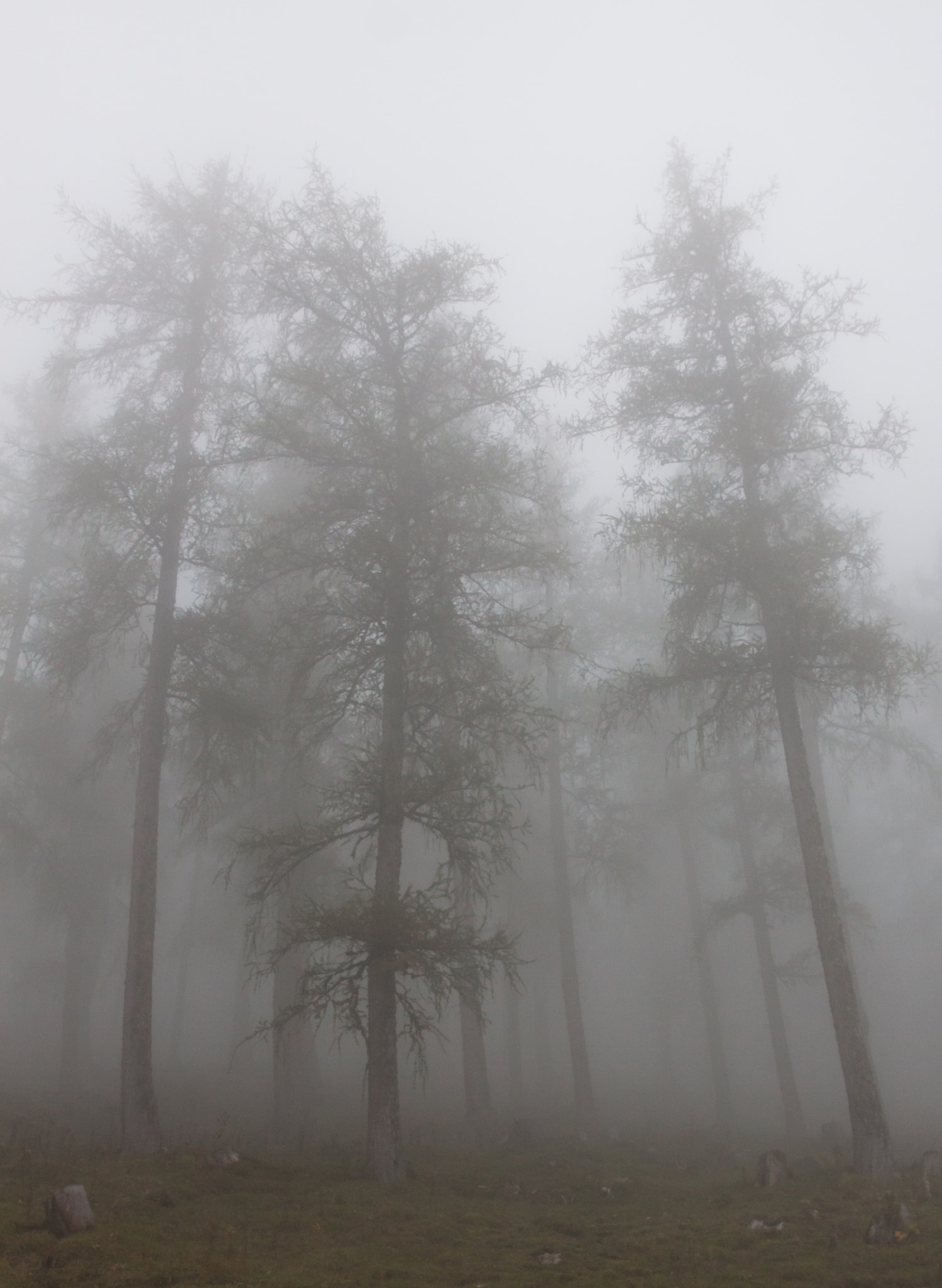 Canon EF 24-70mm F2.8L II USM sample photo. Fog and clouds in the mountains photography