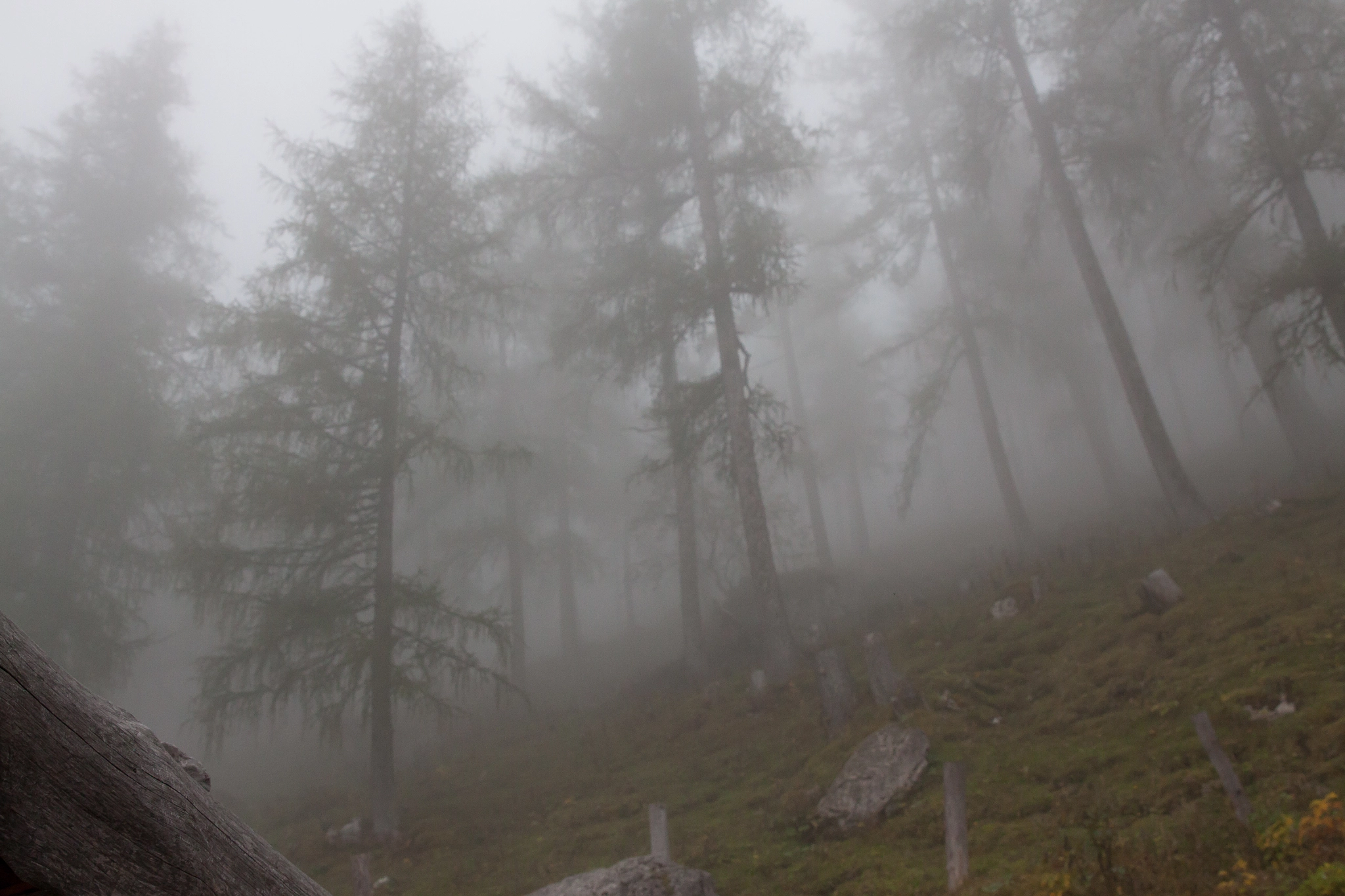 Canon EF 24-70mm F2.8L II USM sample photo. Fog and clouds in the mountains photography