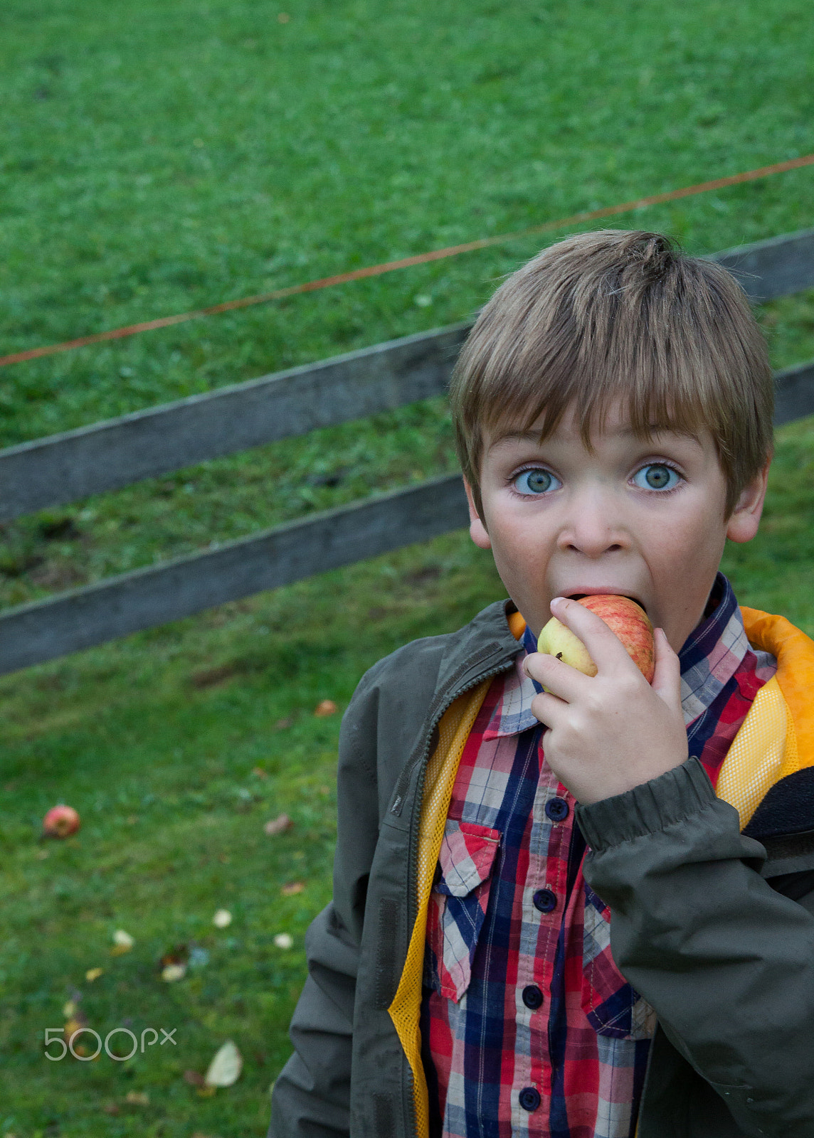 Canon EF 24-70mm F2.8L II USM sample photo. Young boy holding and eating apple, autumn garden photography