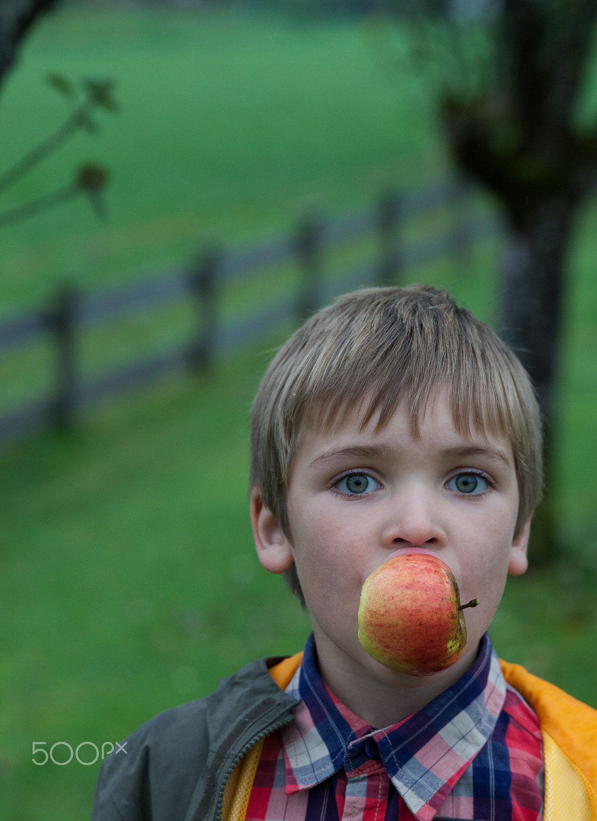 Canon EF 24-70mm F2.8L II USM sample photo. Young boy holding and eating apple, autumn garden photography
