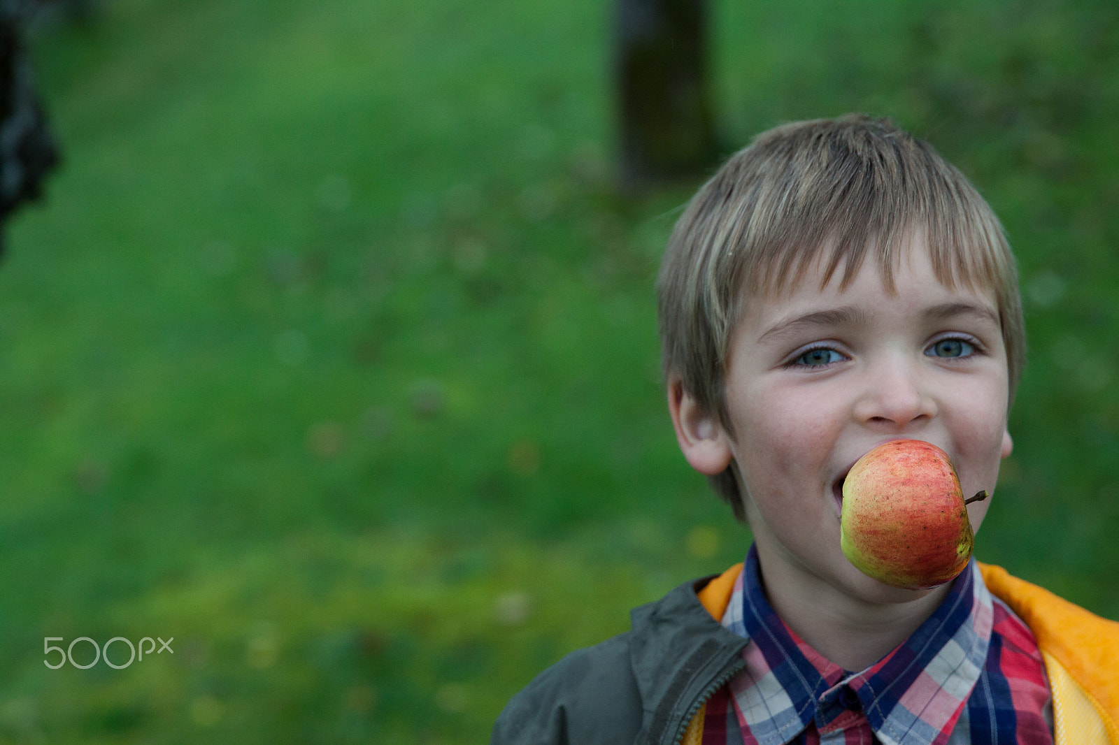 Canon EF 24-70mm F2.8L II USM sample photo. Young boy holding and eating apple, autumn garden photography