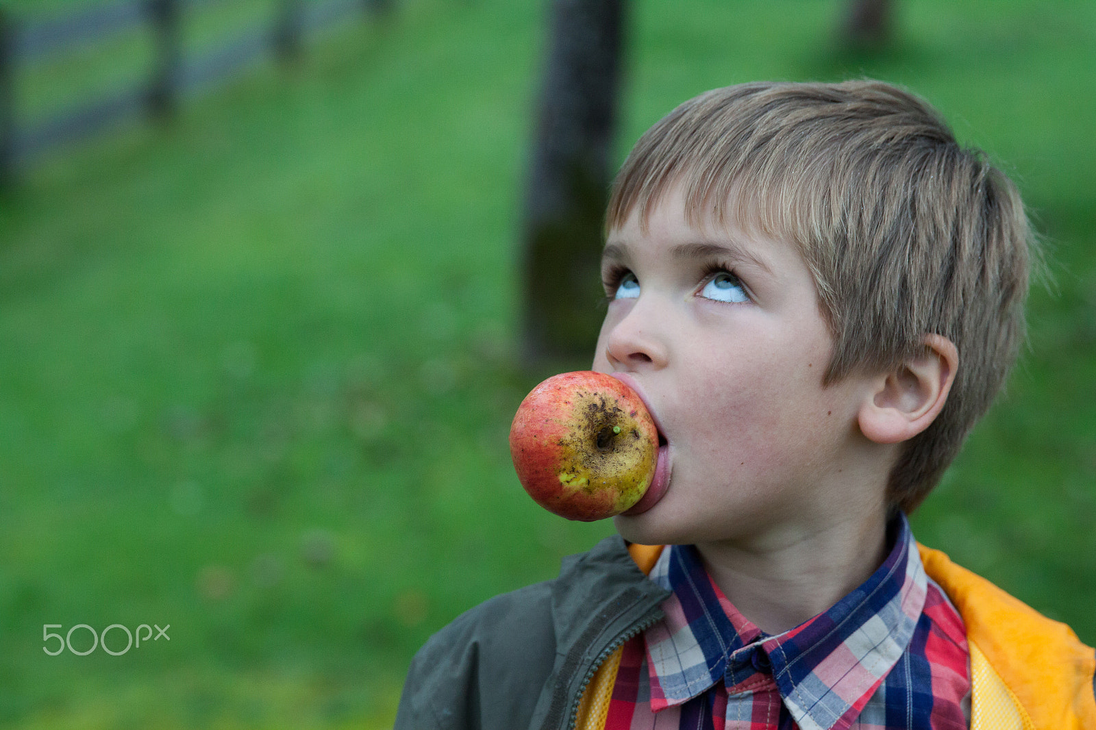 Canon EF 24-70mm F2.8L II USM sample photo. Young boy holding and eating apple, autumn garden photography