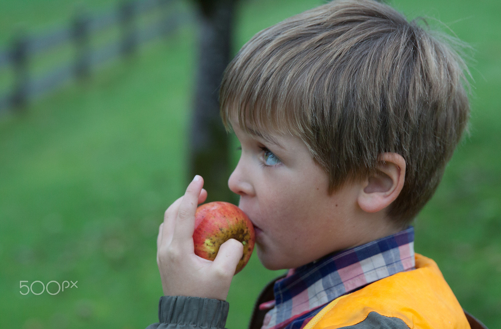 Canon EF 24-70mm F2.8L II USM sample photo. Young boy holding and eating apple, autumn garden photography