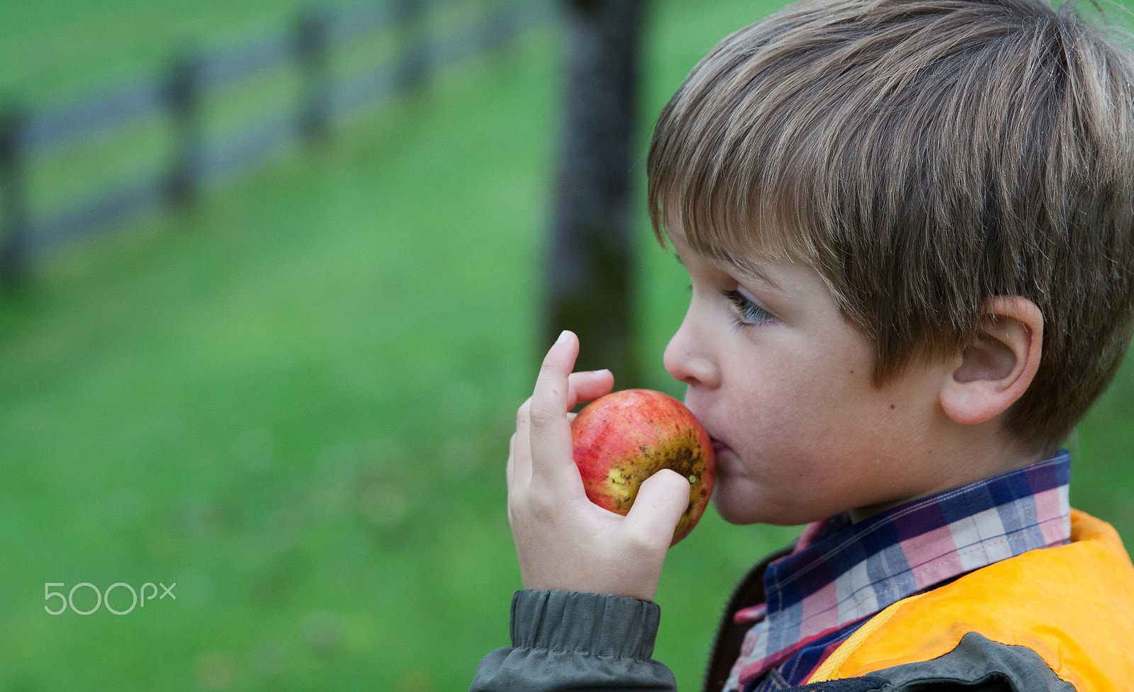 Canon EF 24-70mm F2.8L II USM sample photo. Young boy holding and eating apple, autumn garden photography