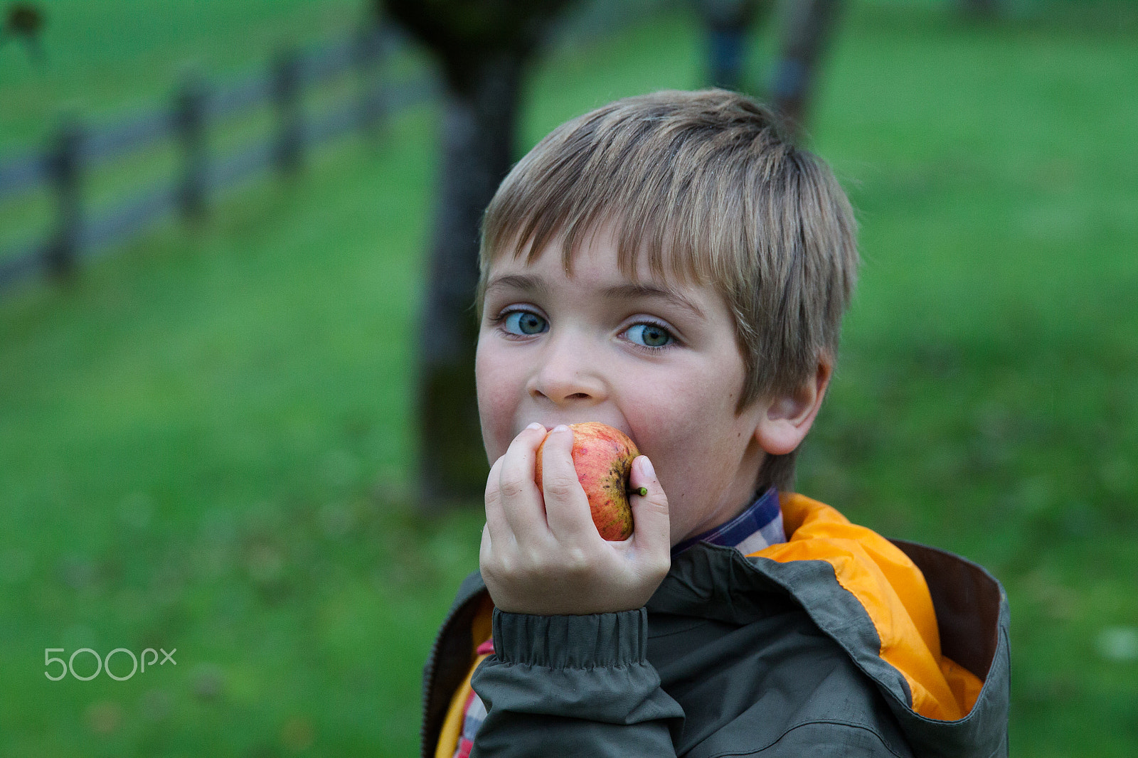 Canon EF 24-70mm F2.8L II USM sample photo. Young boy holding and eating apple, autumn garden photography