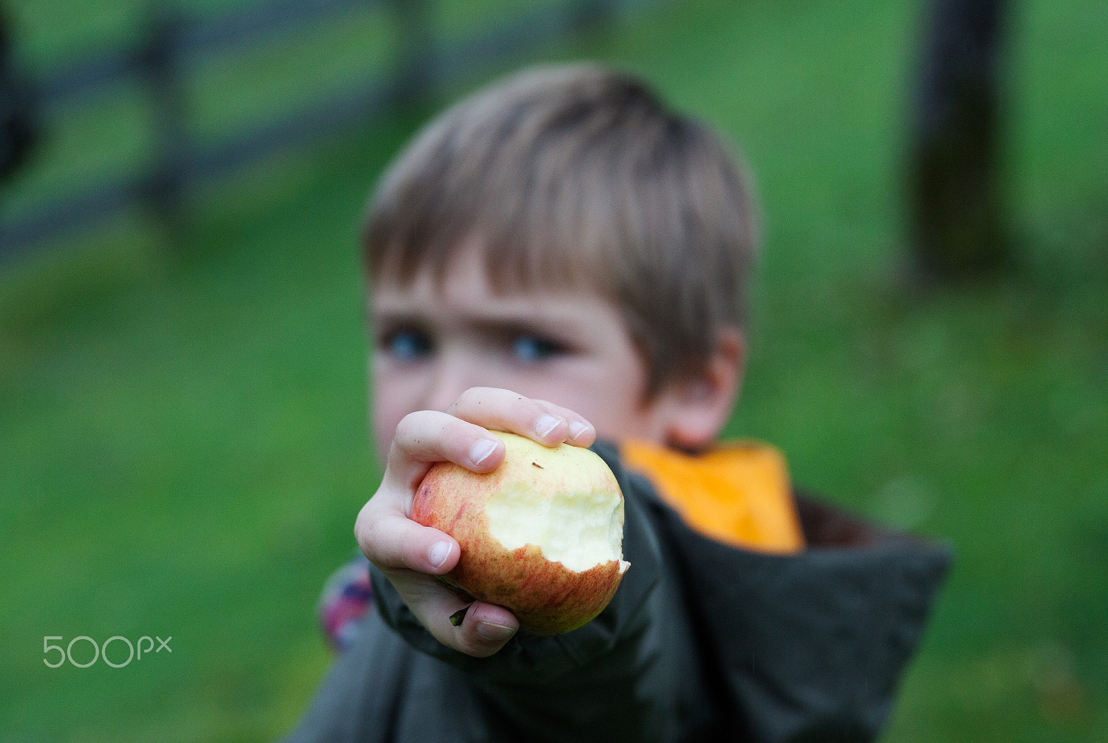 Canon EF 24-70mm F2.8L II USM sample photo. Young boy holding and eating apple, autumn garden photography