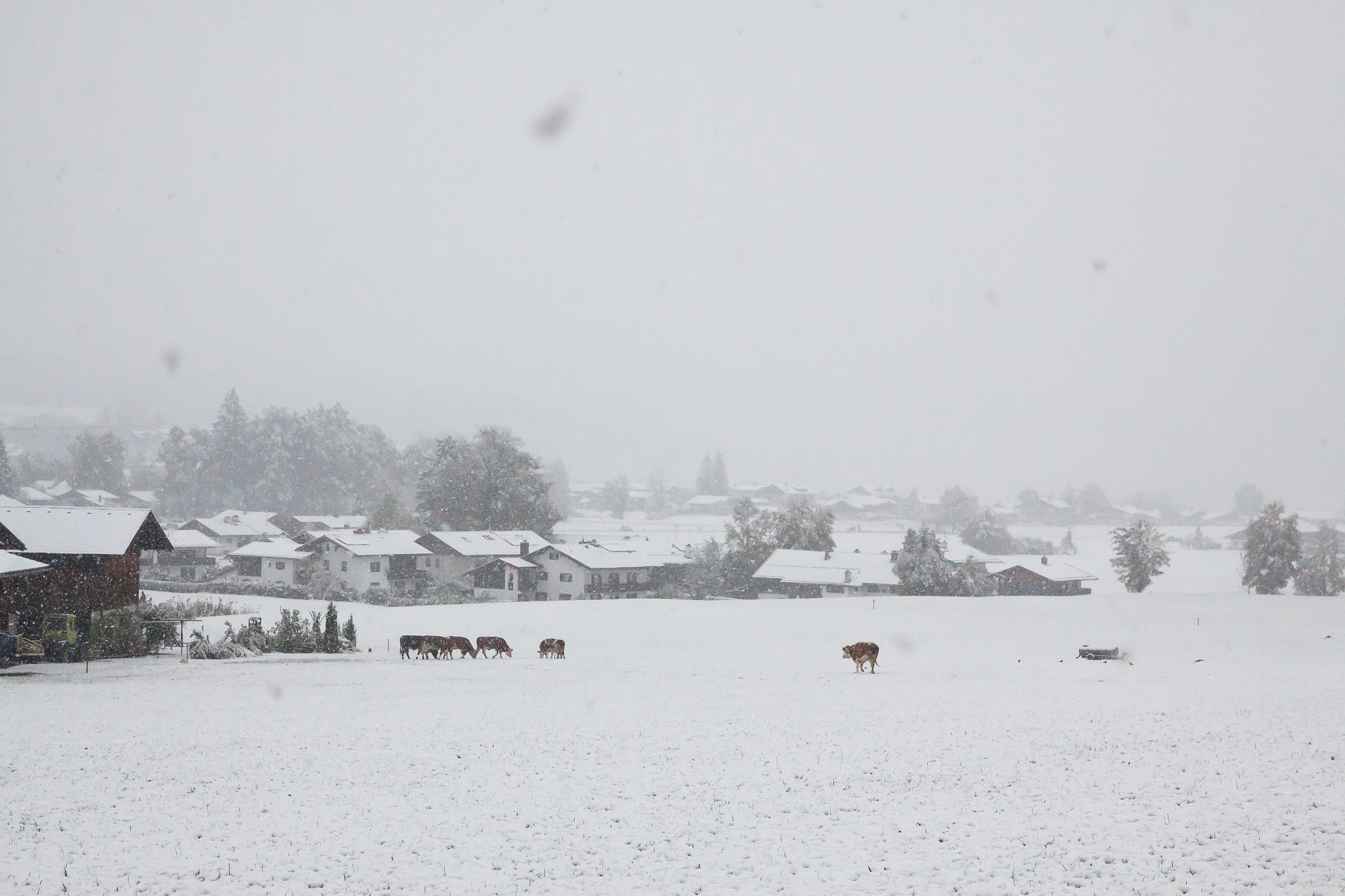 Canon EF 24-70mm F2.8L II USM sample photo. Village in snow photography