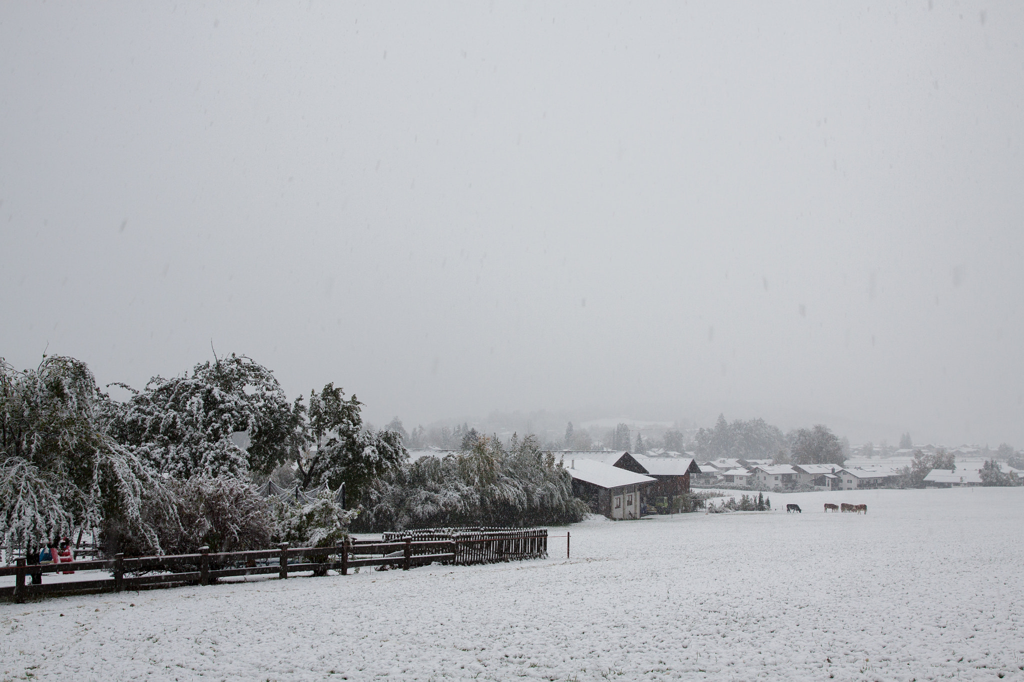 Canon EF 24-70mm F2.8L II USM sample photo. Village in snow photography